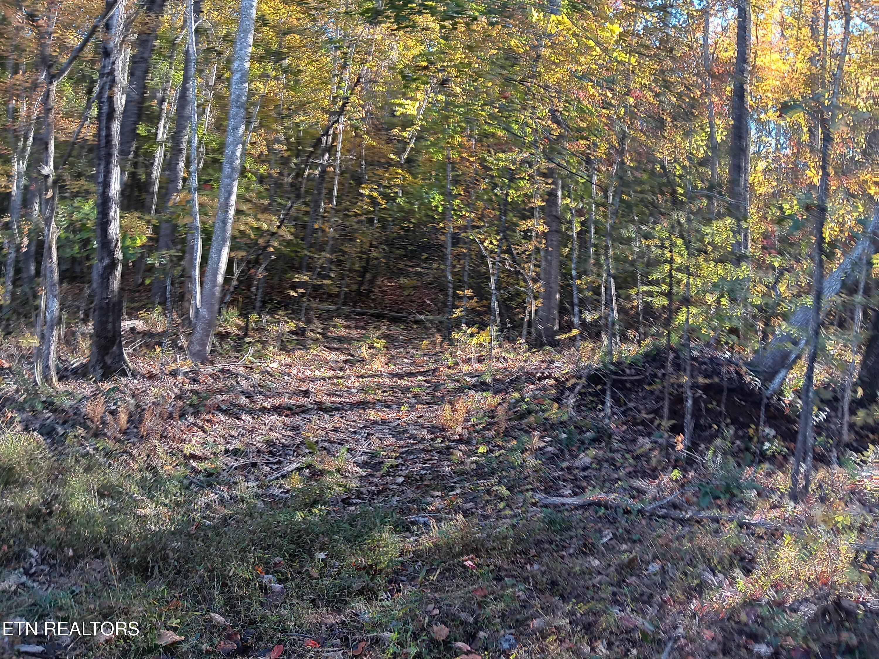 8845 Highway 66 Property Photo 32