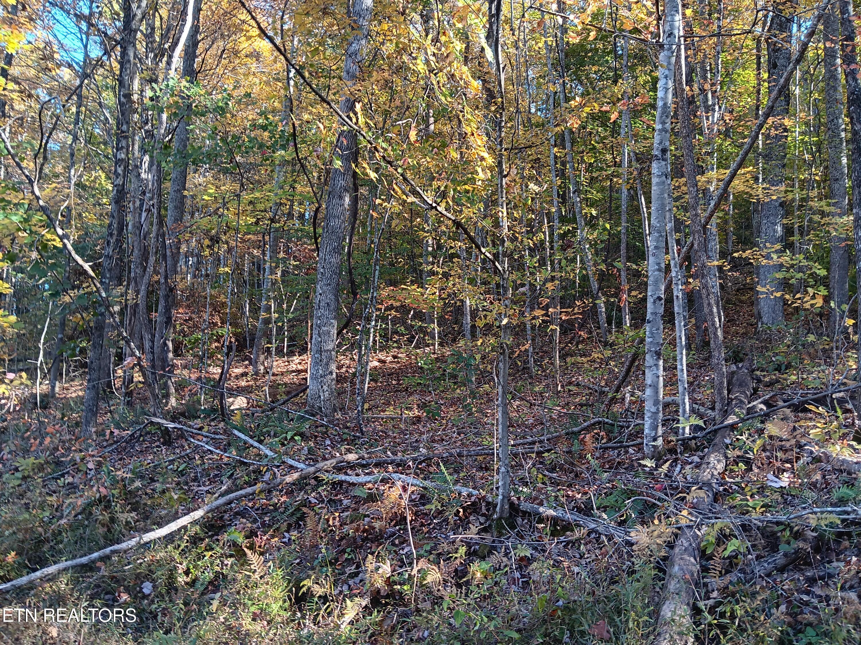 8845 Highway 66 Property Photo 33