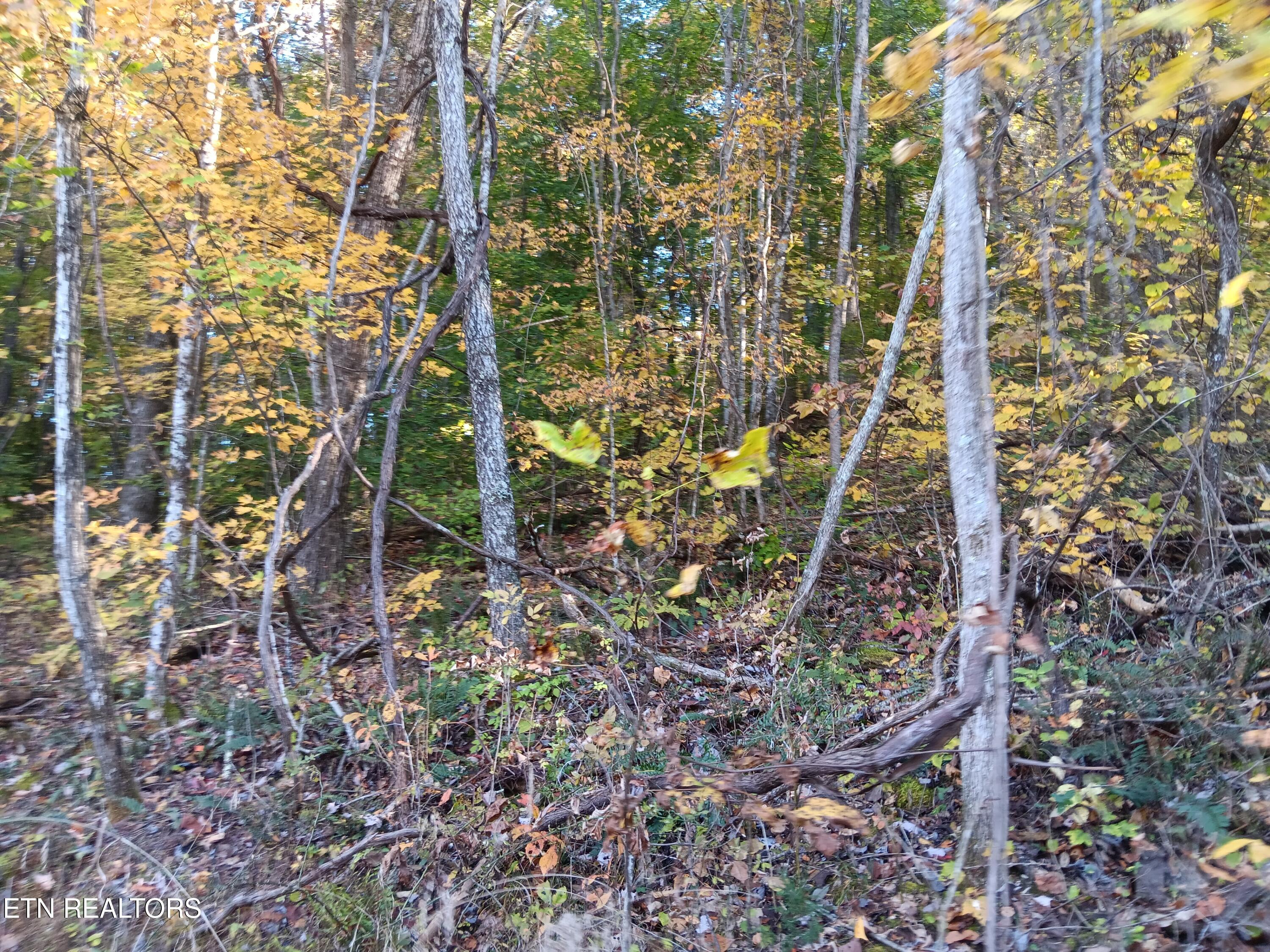 8845 Highway 66 Property Photo 34
