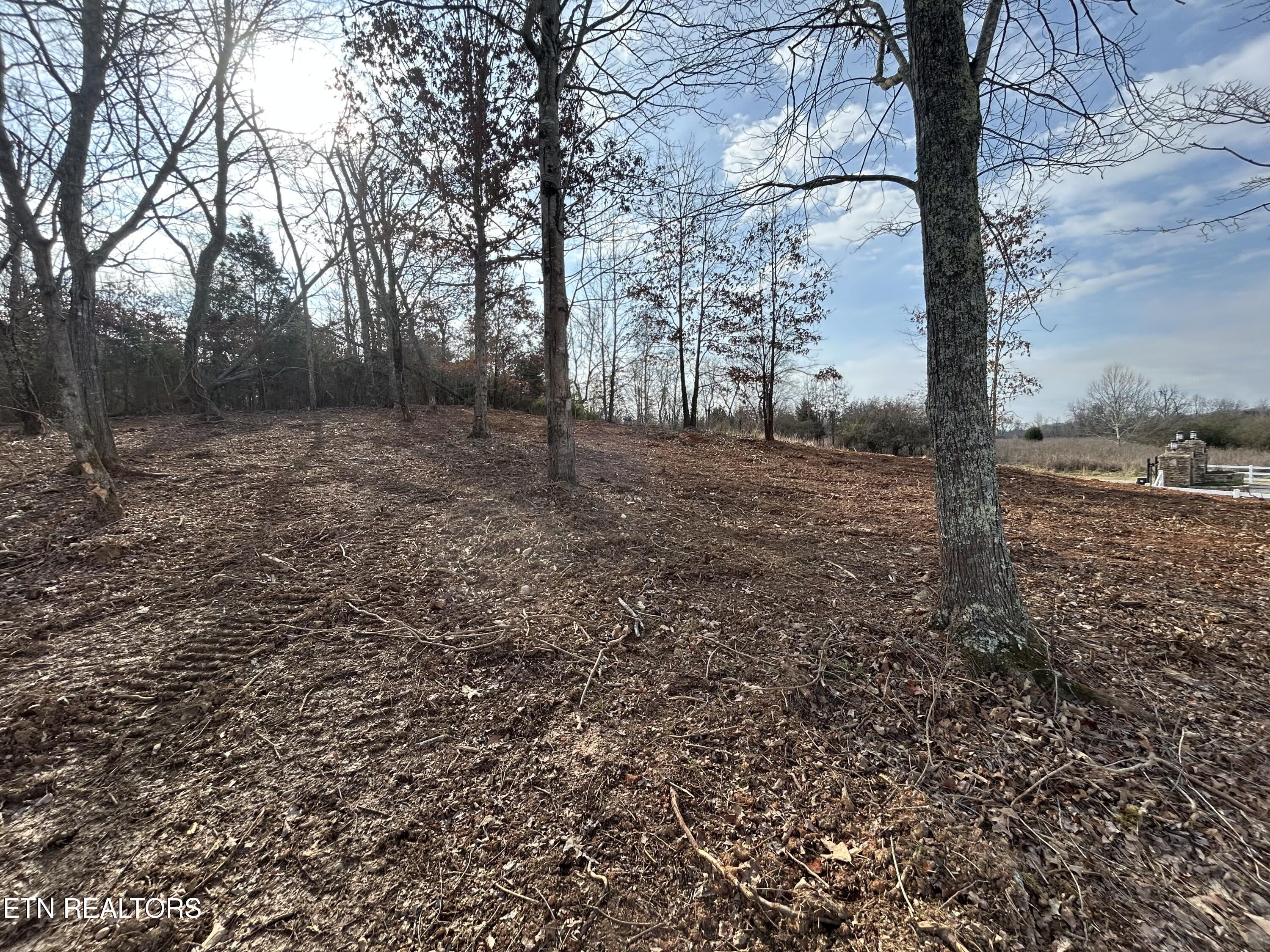 Lot 232 Star Lane Property Photo 1
