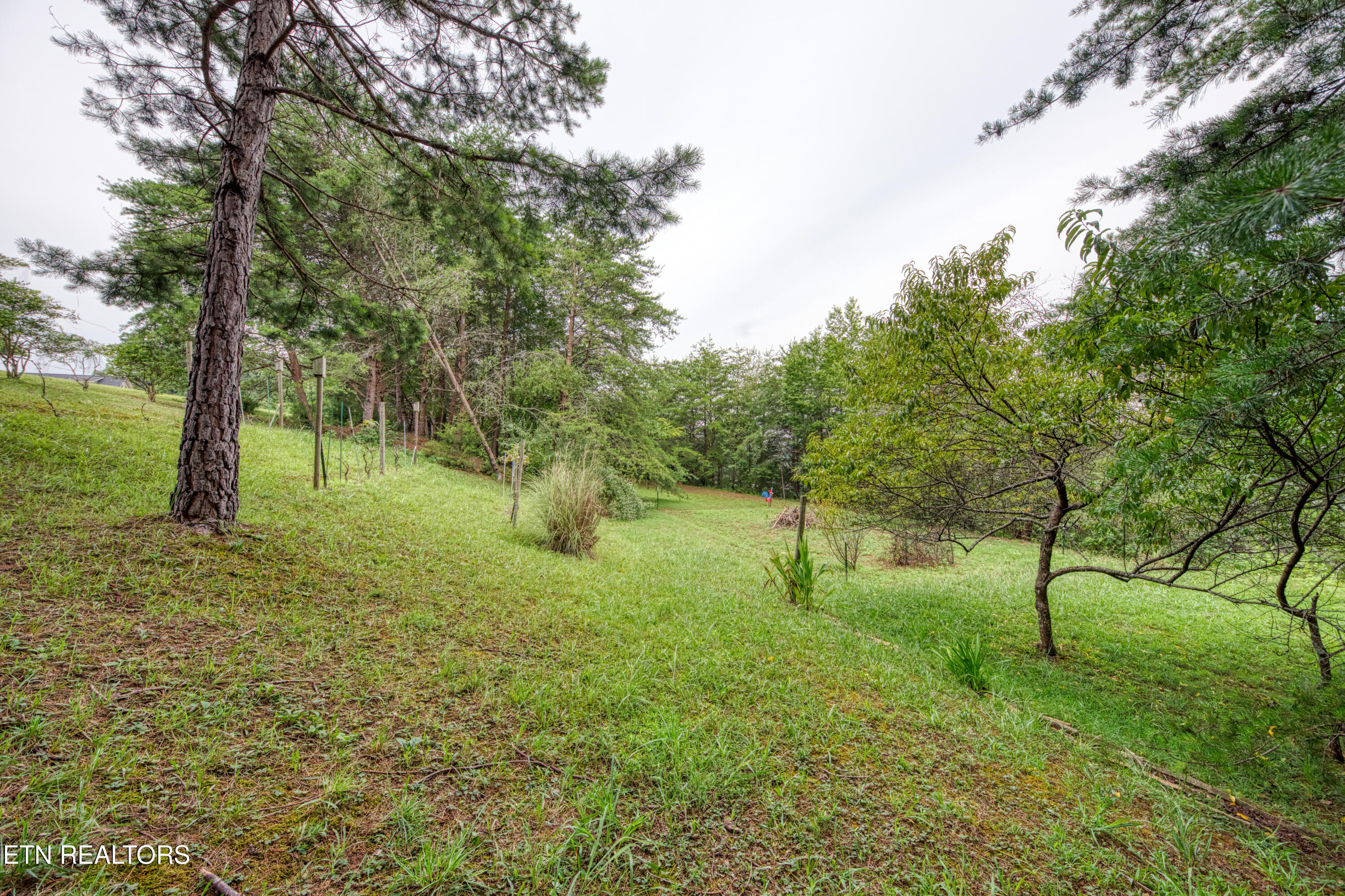 156 Glen Mar Drive Property Photo 2