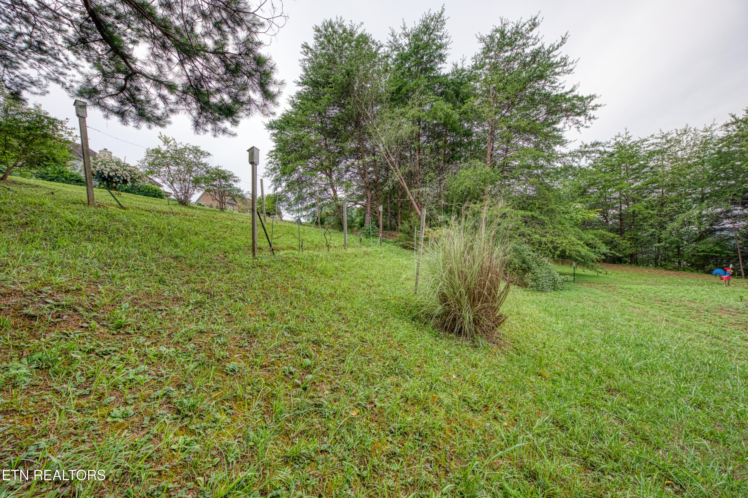 156 Glen Mar Drive Property Photo 4