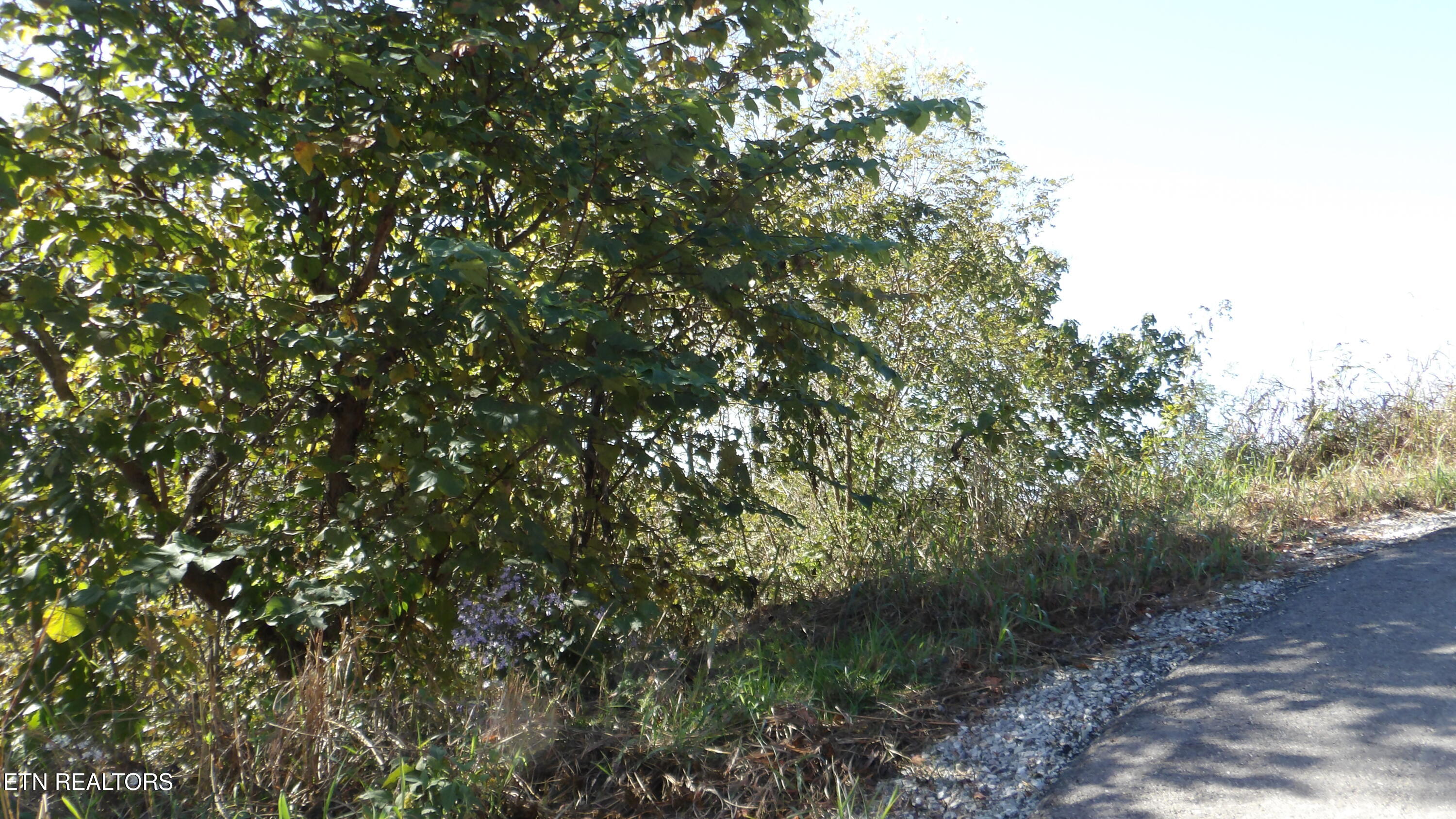 Lot 21d Crappie Lane Property Photo 8