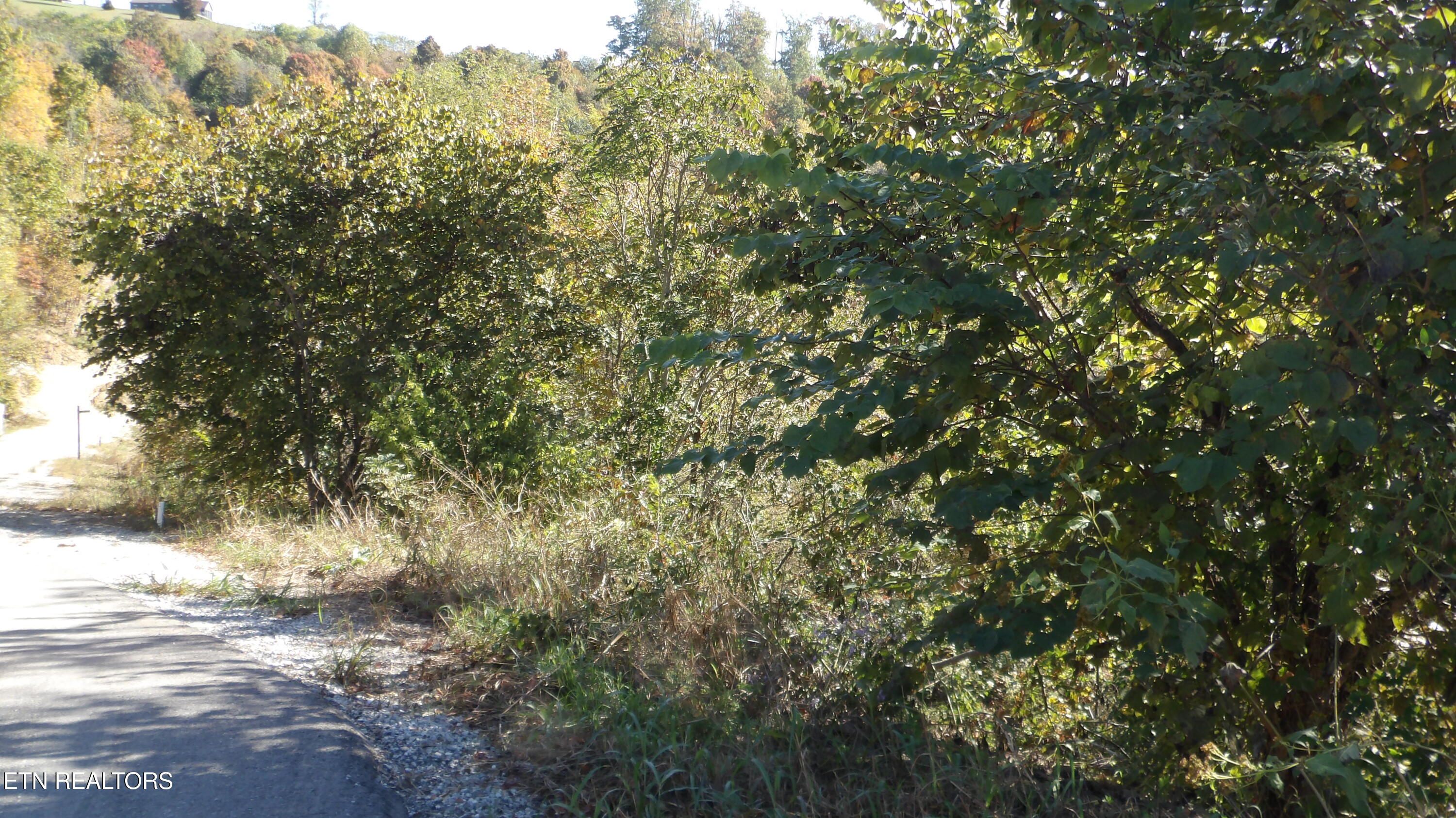 Lot 21d Crappie Lane Property Photo 9