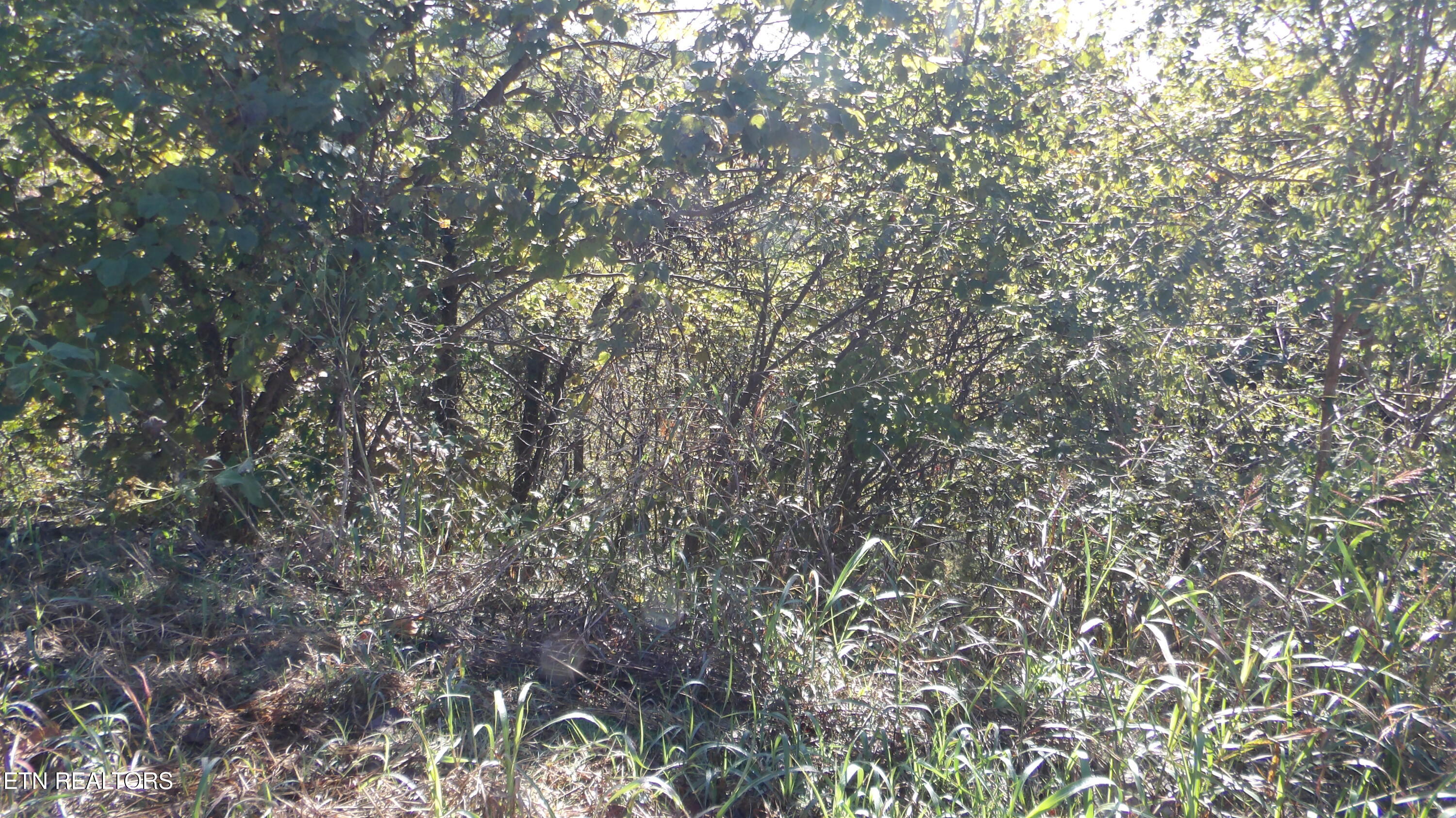 Lot 21d Crappie Lane Property Photo 10