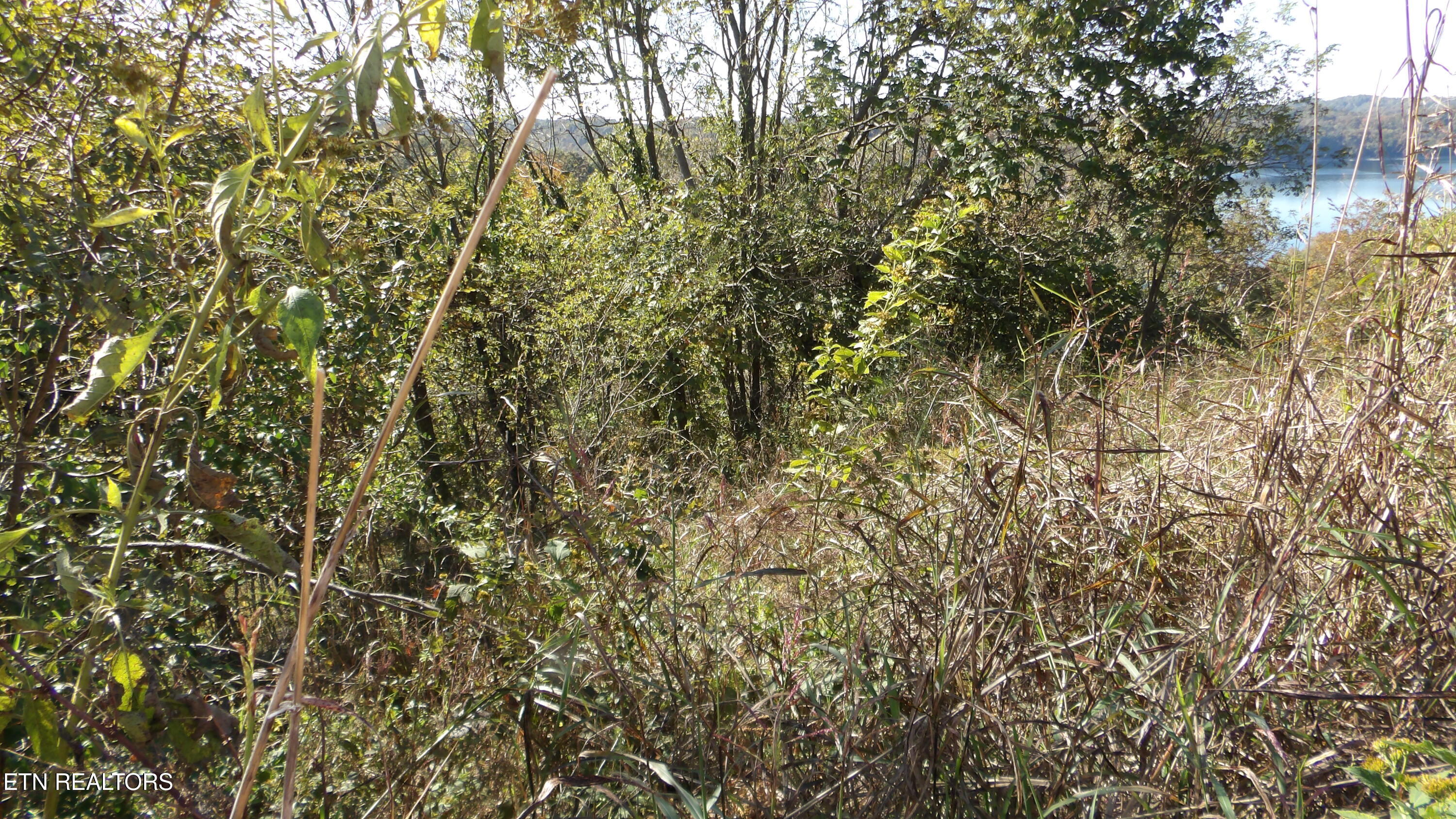 Lot 21d Crappie Lane Property Photo 11