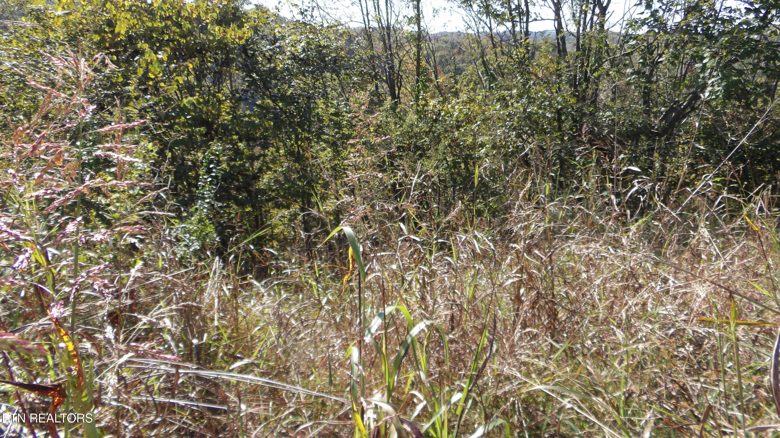 Lot 21d Crappie Lane Property Photo 12