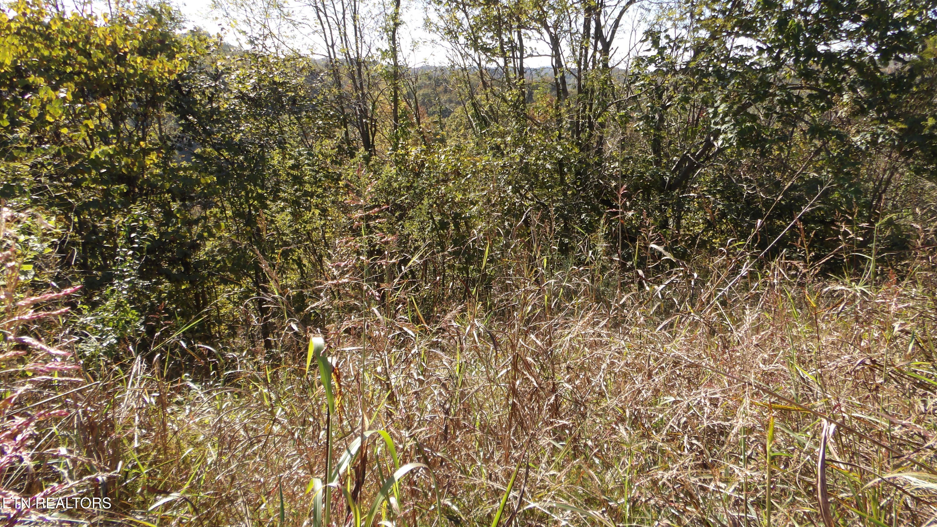 Lot 21d Crappie Lane Property Photo 15