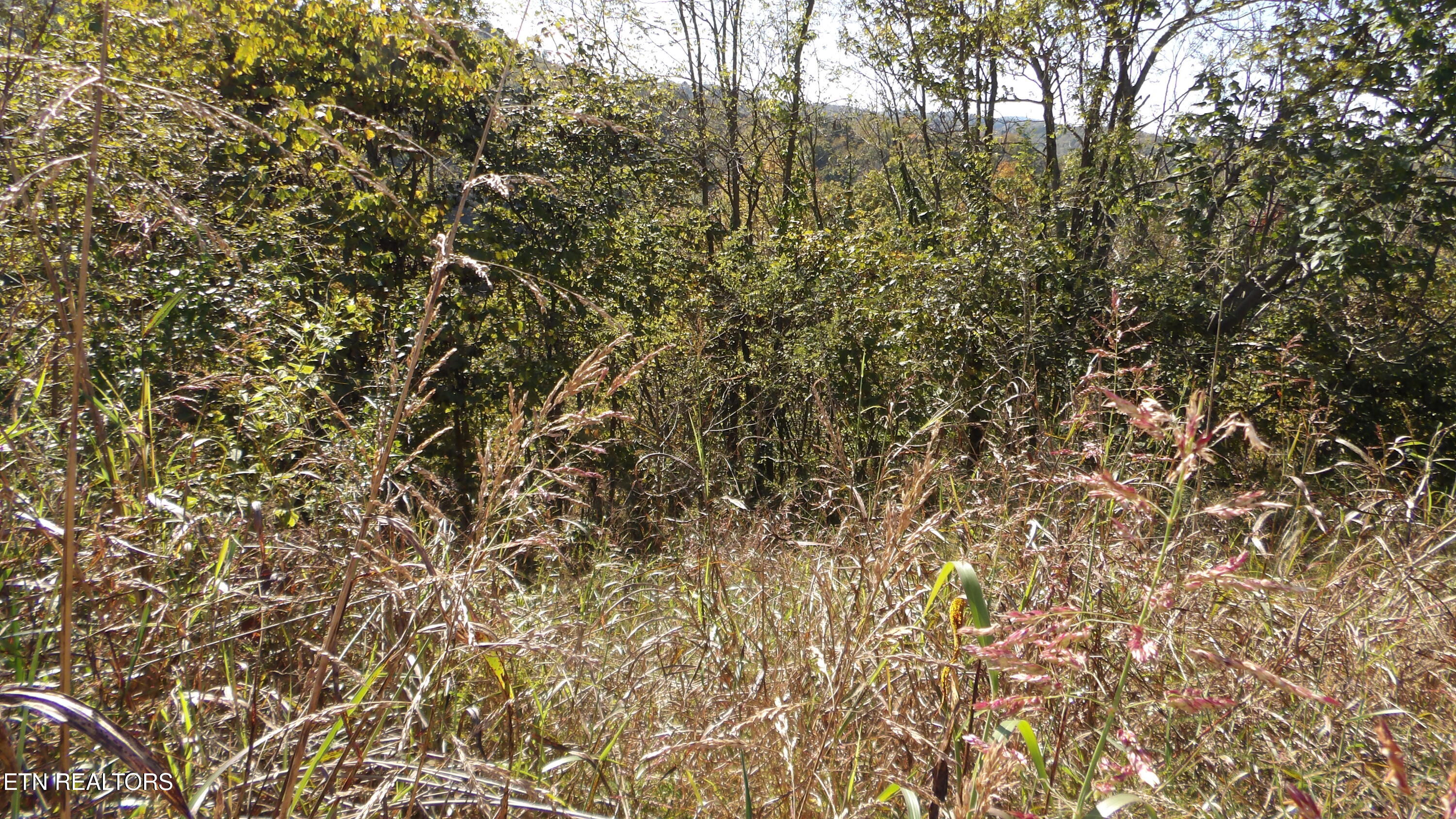Lot 21d Crappie Lane Property Photo 16