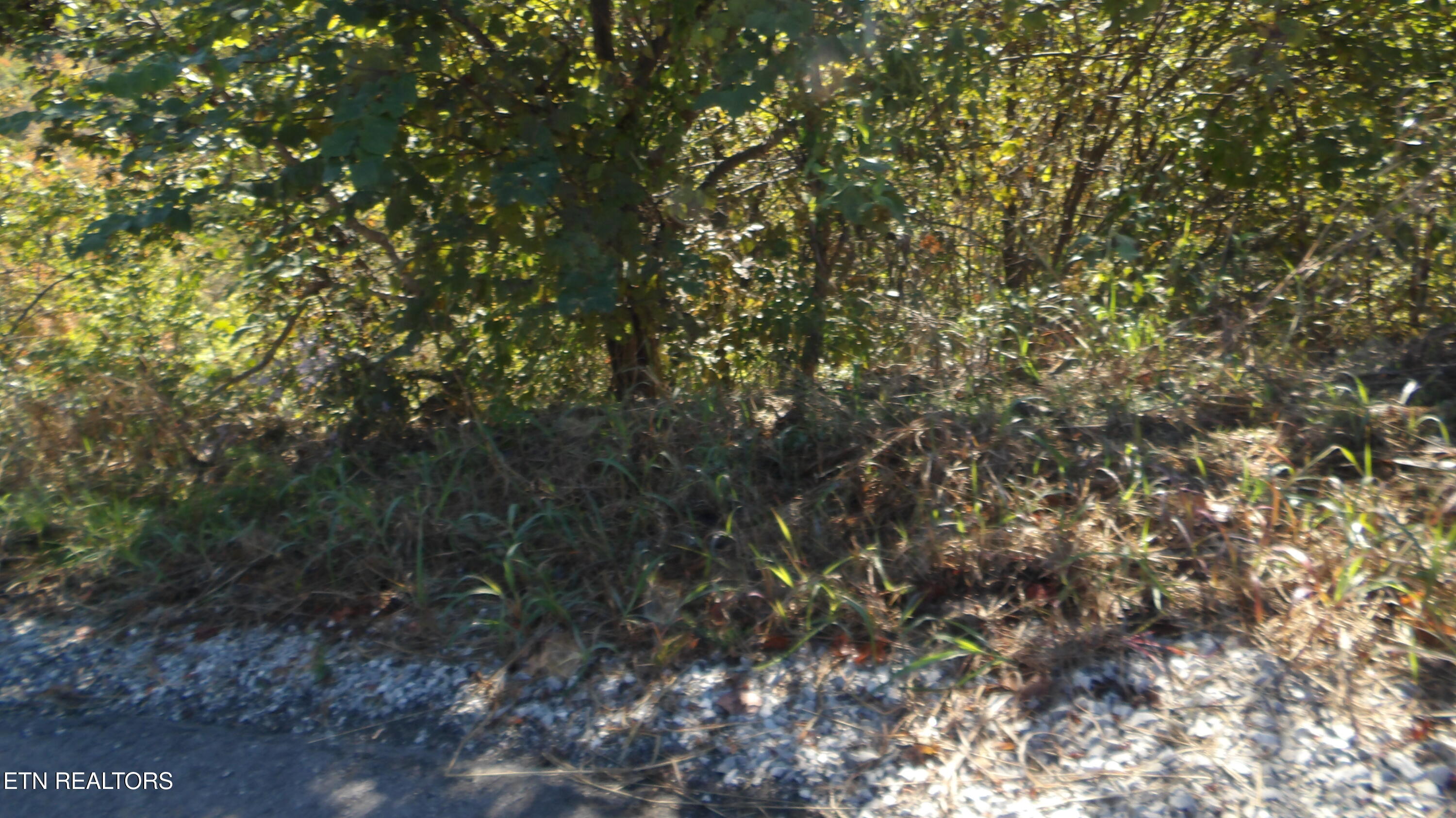 Lot 21d Crappie Lane Property Photo 17