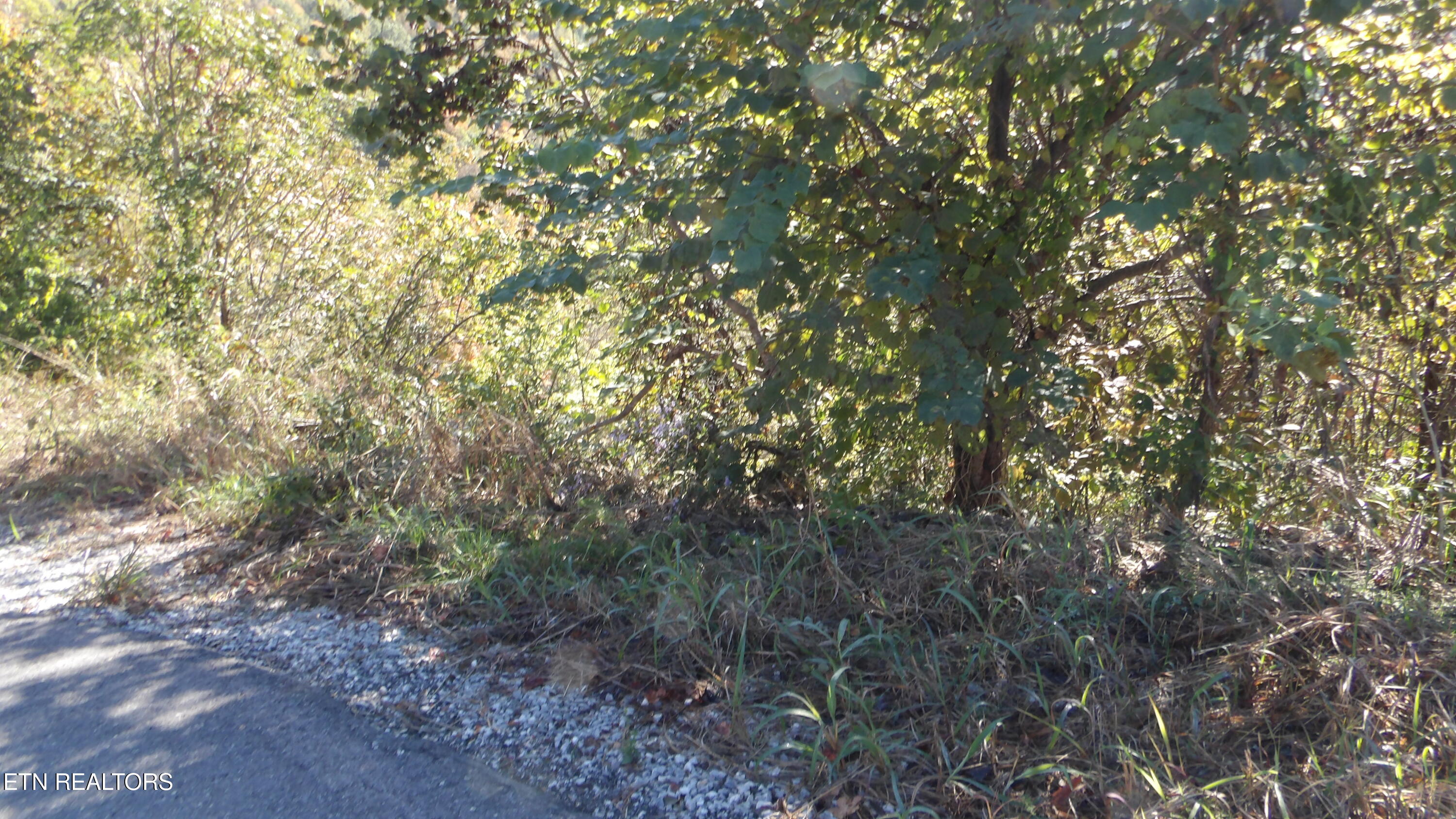 Lot 21d Crappie Lane Property Photo 18