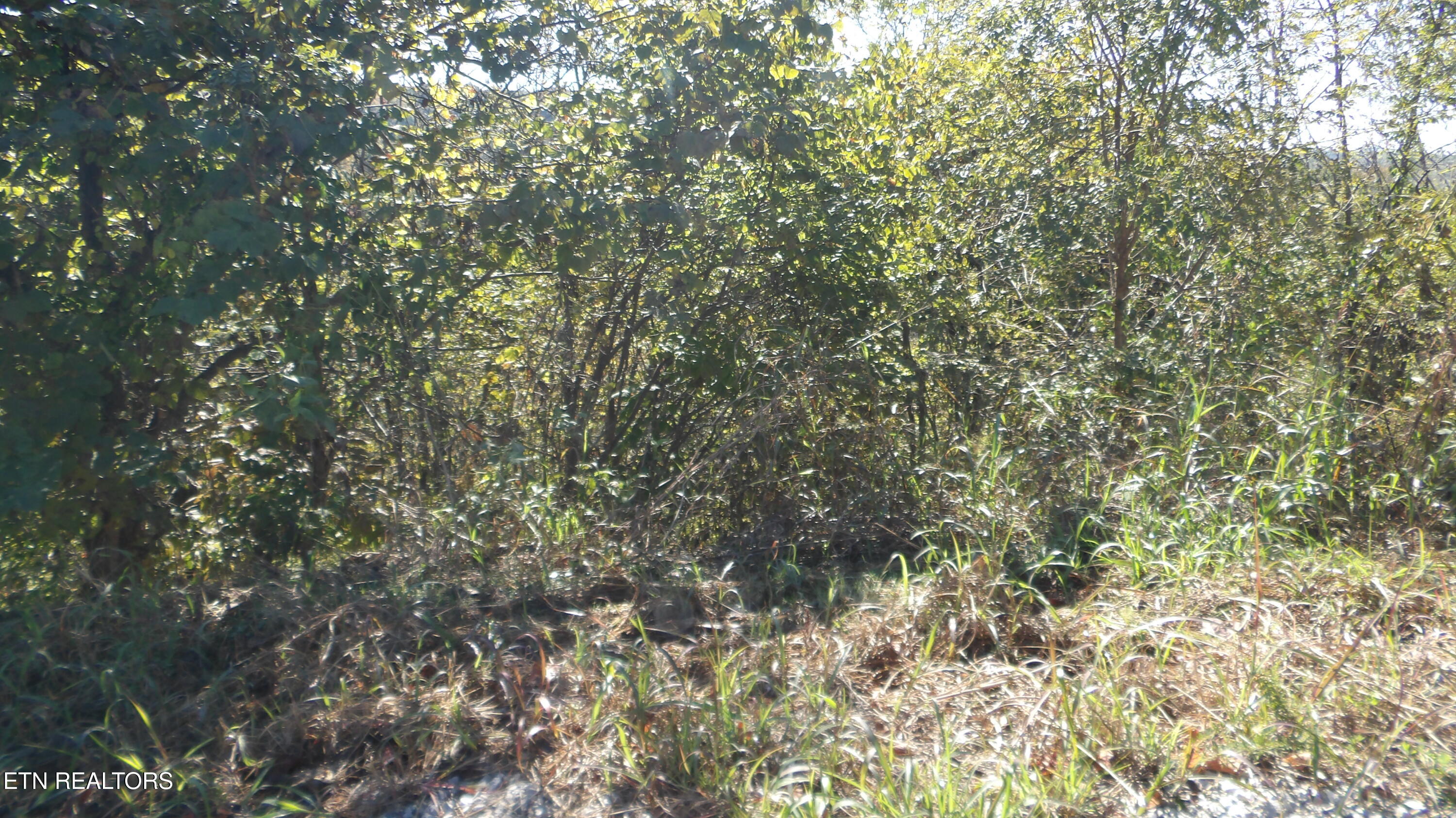 Lot 21d Crappie Lane Property Photo 19