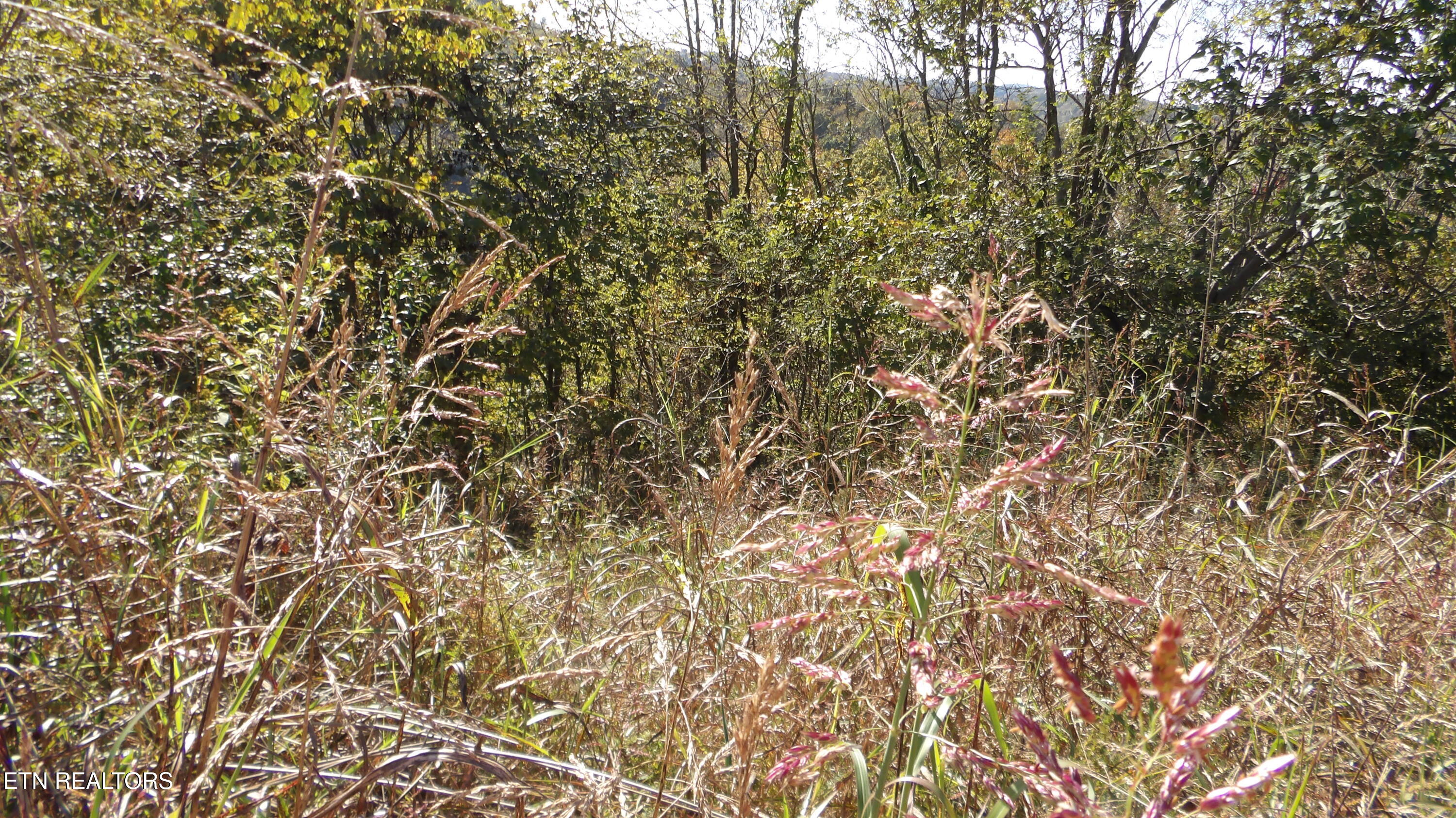 Lot 21d Crappie Lane Property Photo 20