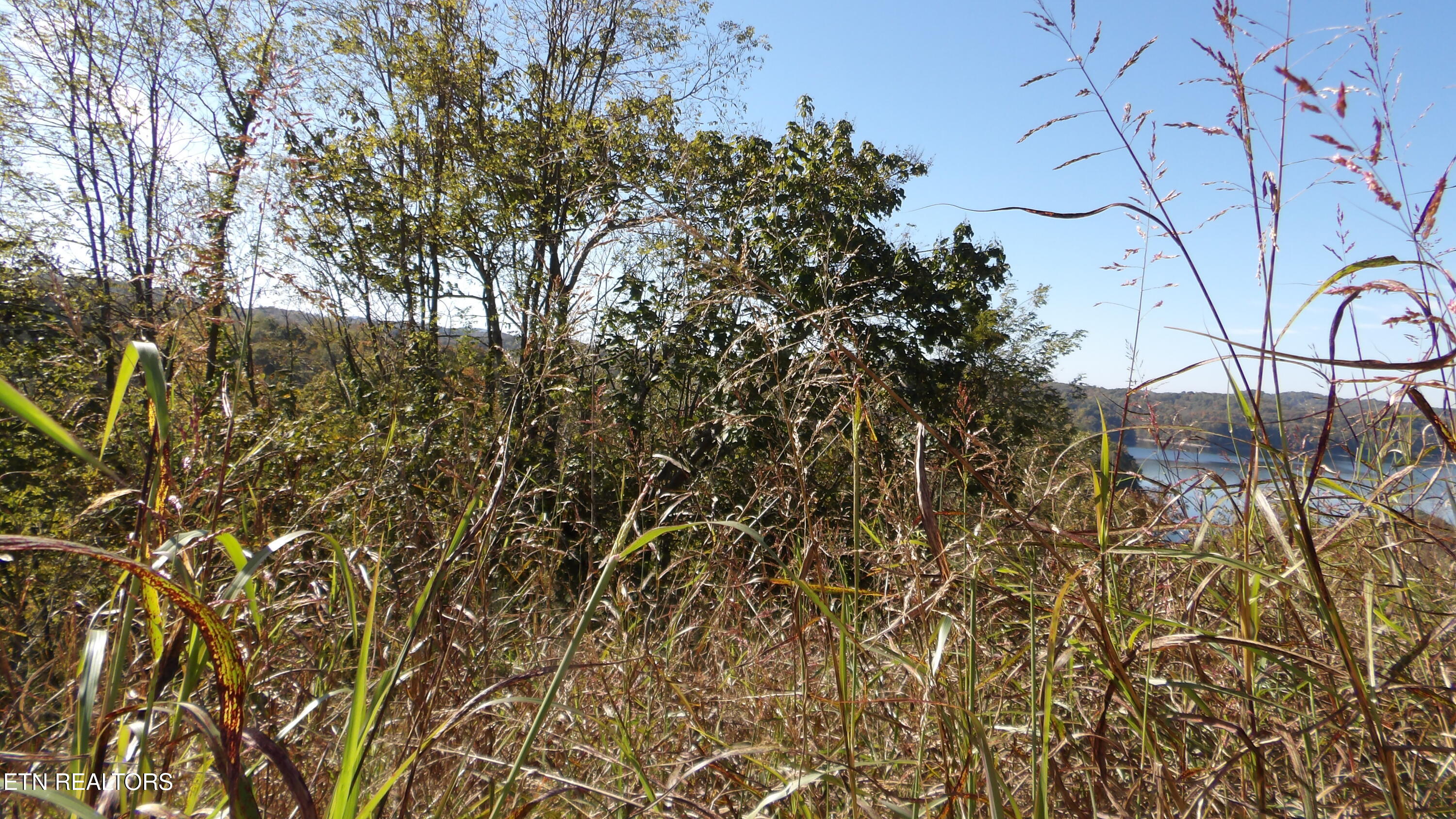 Lot 21d Crappie Lane Property Photo 22