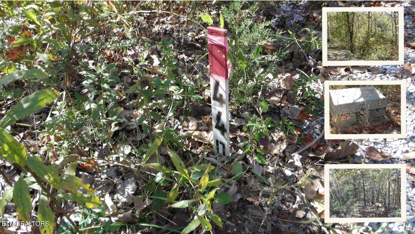 Lot 44d Muskie Lane Property Photo 1