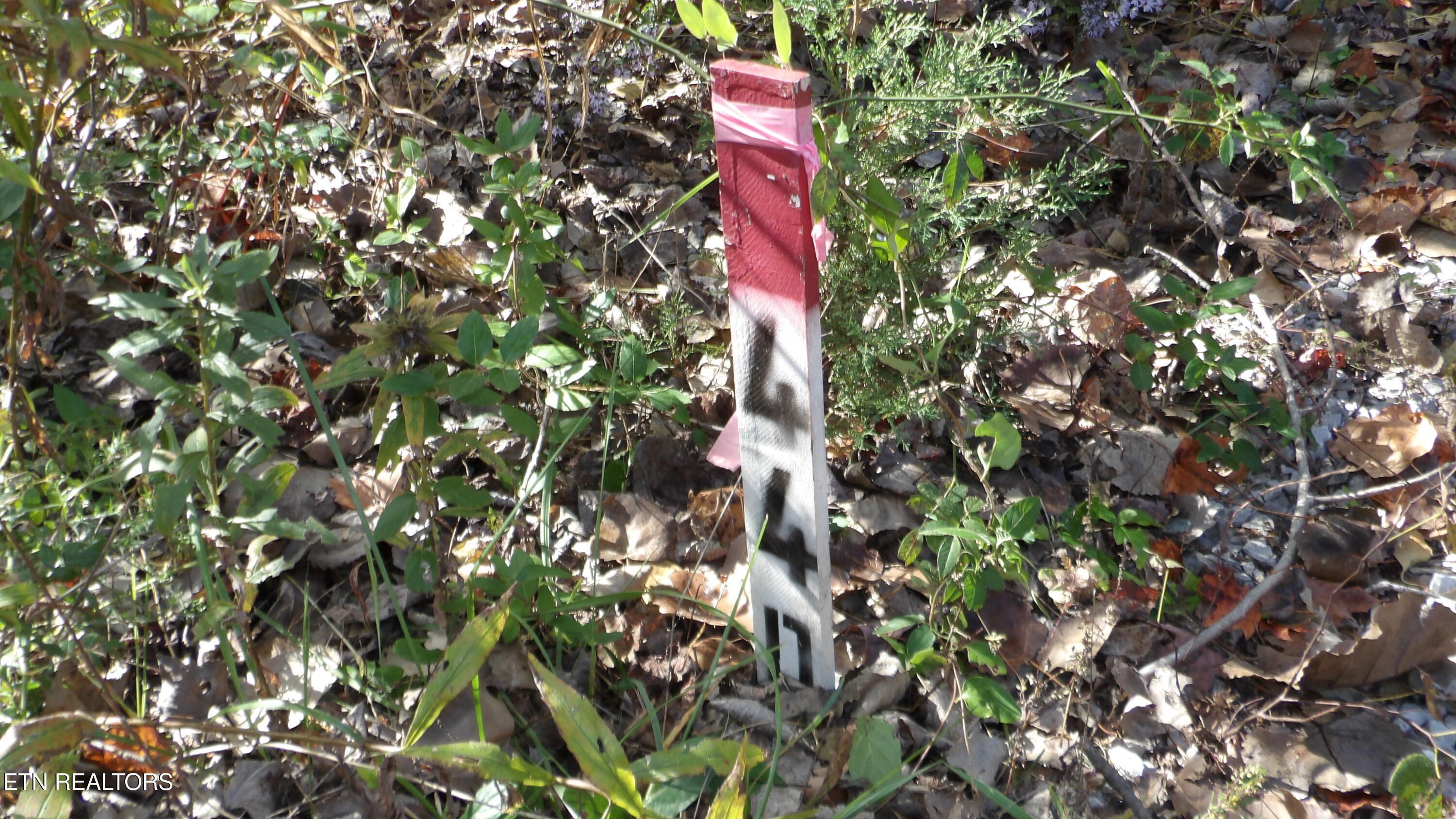 Lot 44d Muskie Lane Property Photo 2