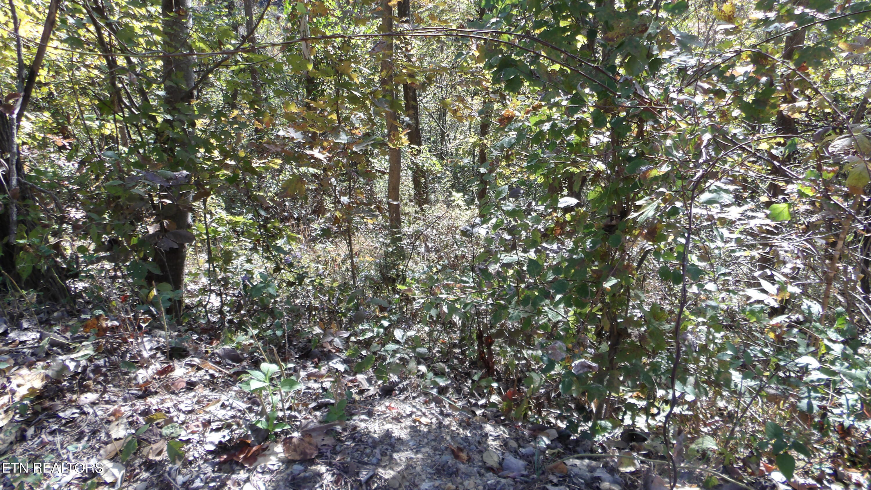 Lot 44d Muskie Lane Property Photo 3