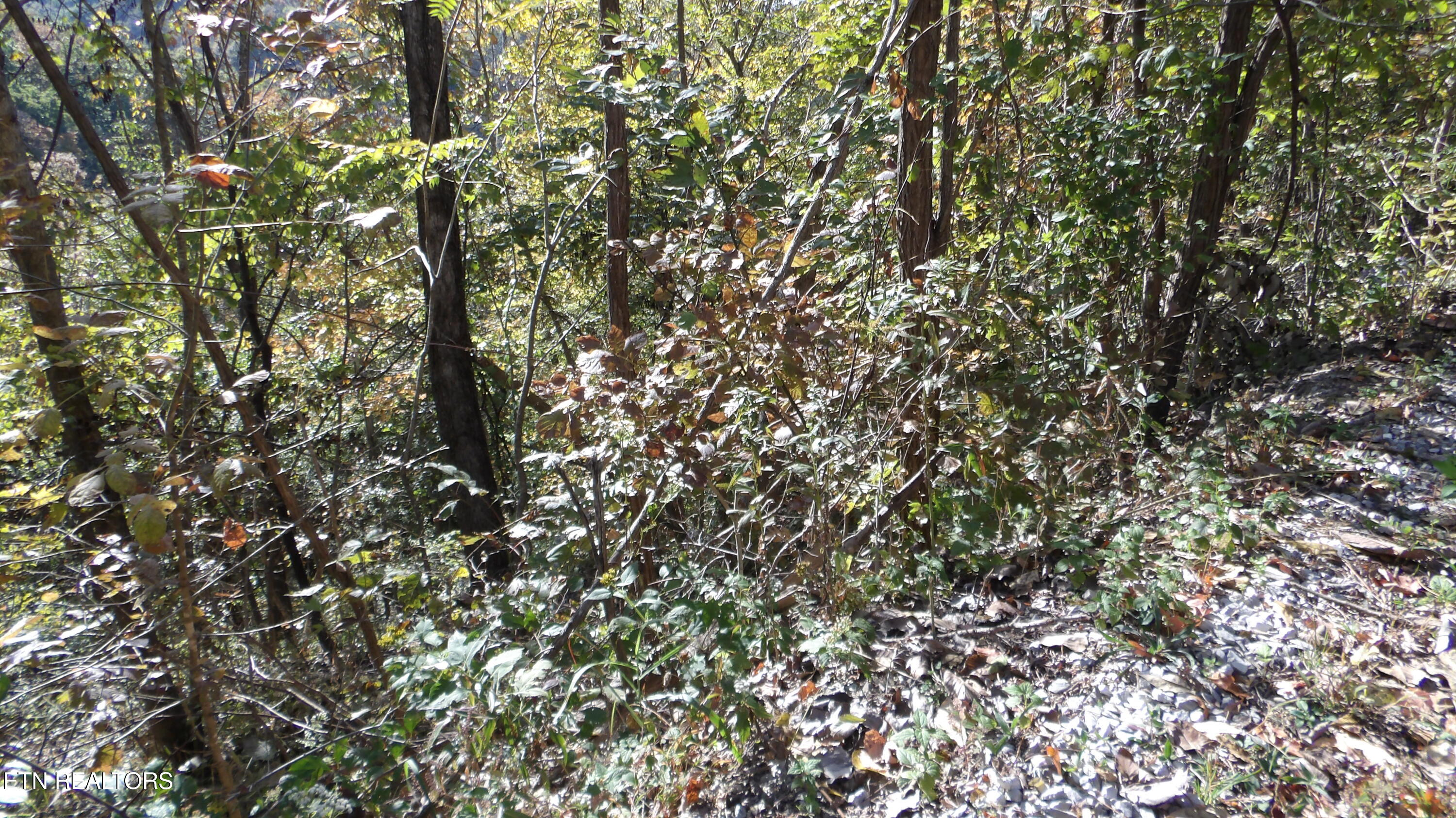 Lot 44d Muskie Lane Property Photo 4