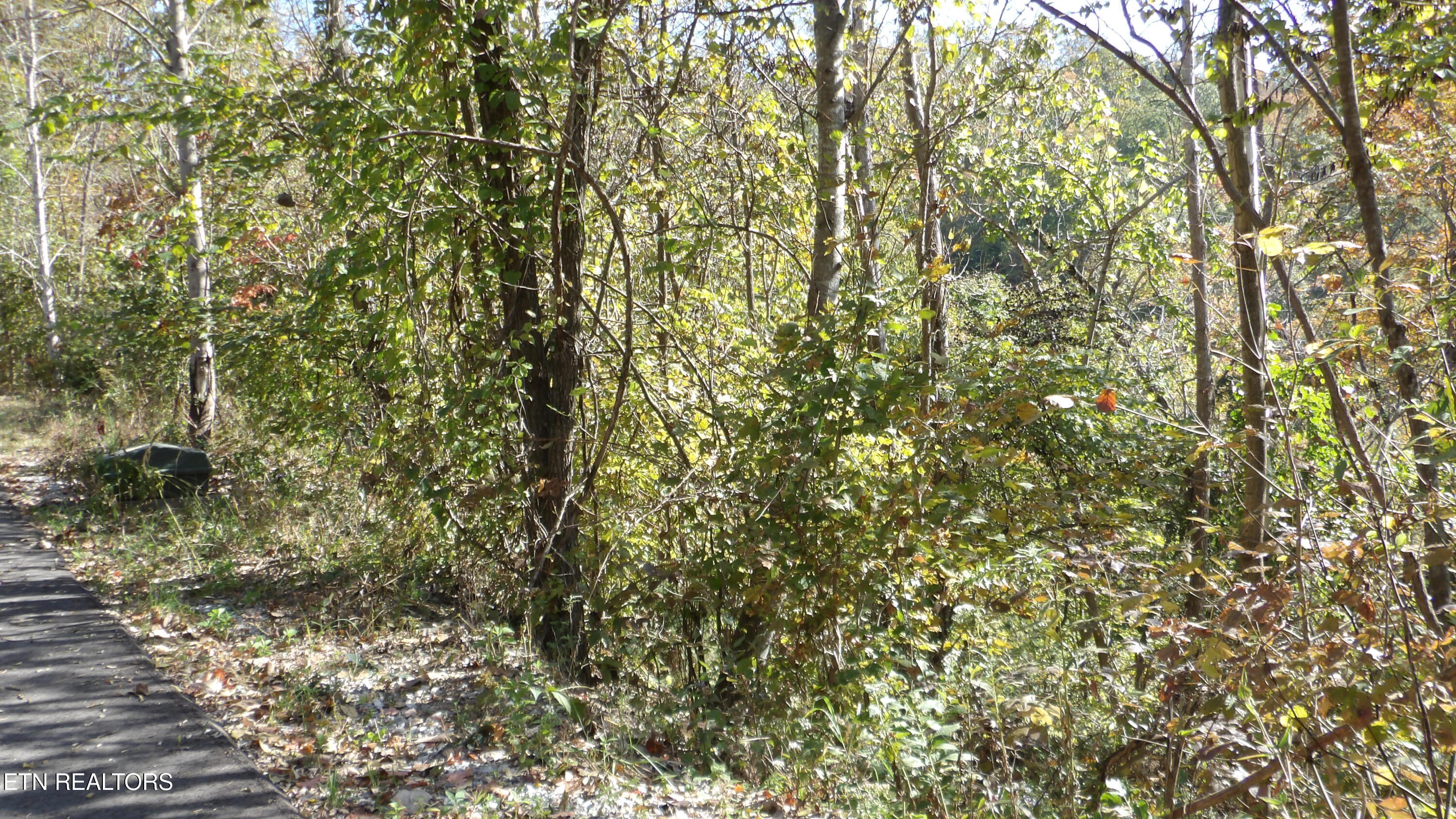 Lot 44d Muskie Lane Property Photo 6