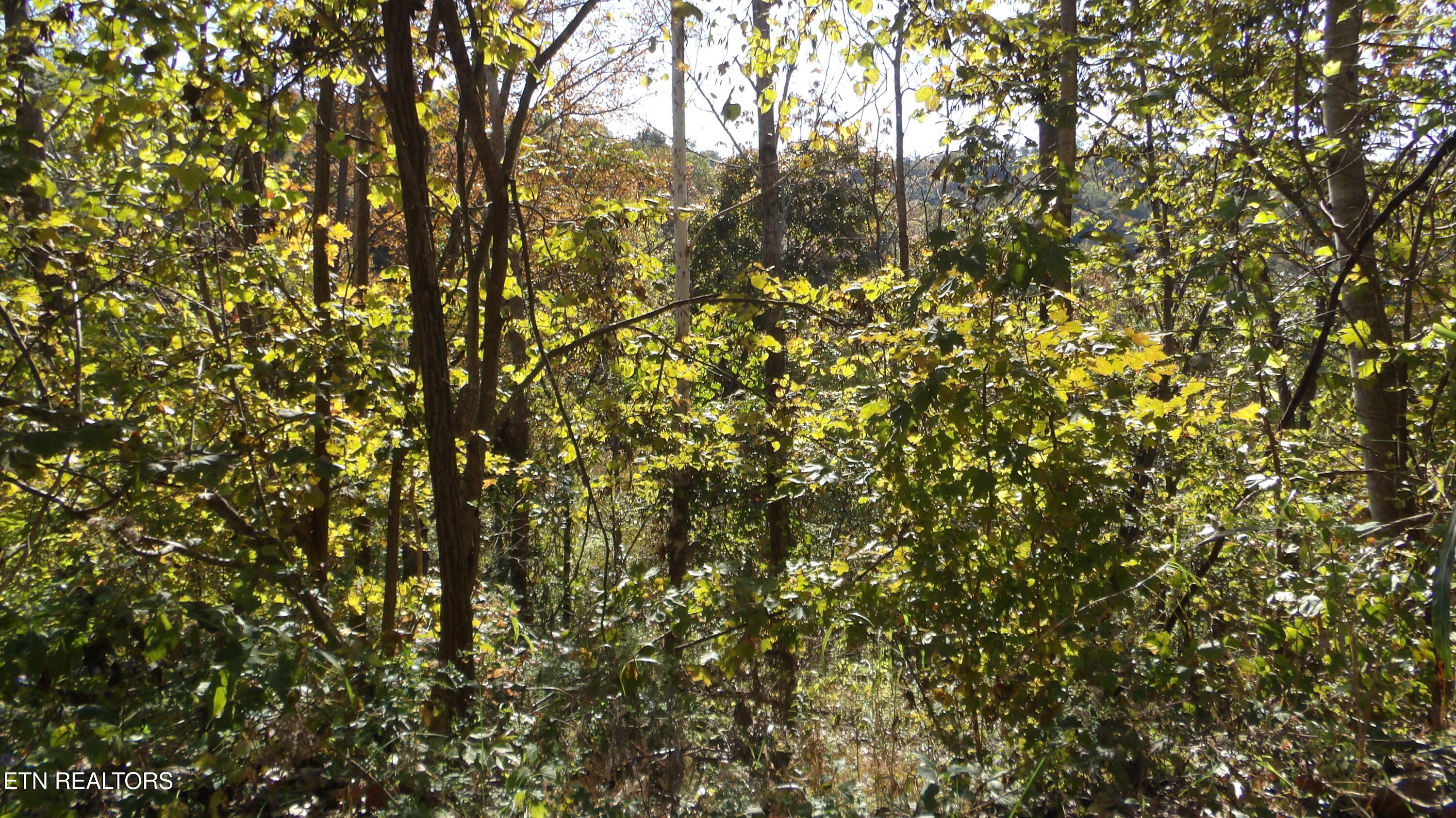 Lot 44d Muskie Lane Property Photo 7