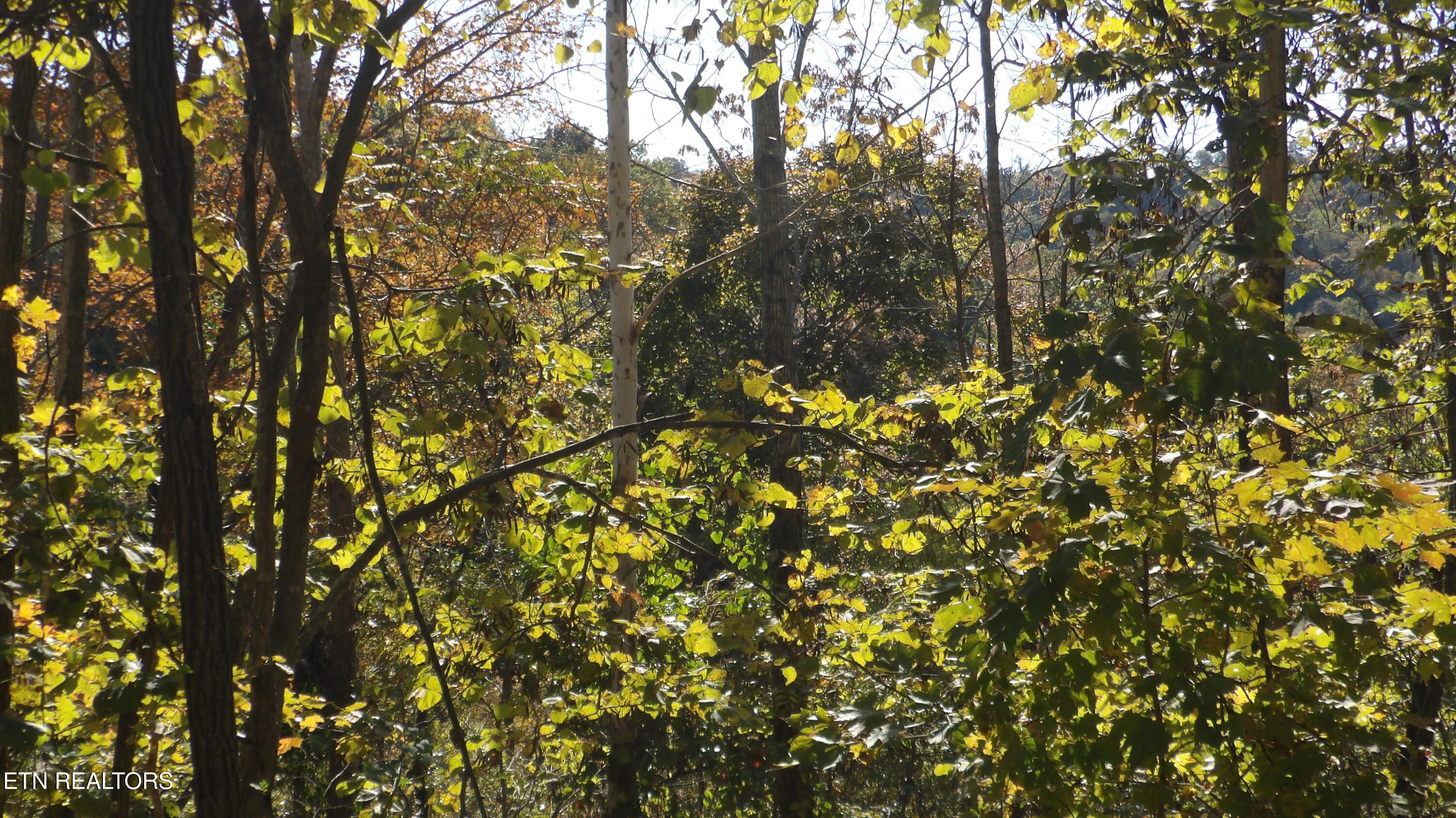 Lot 44d Muskie Lane Property Photo 8