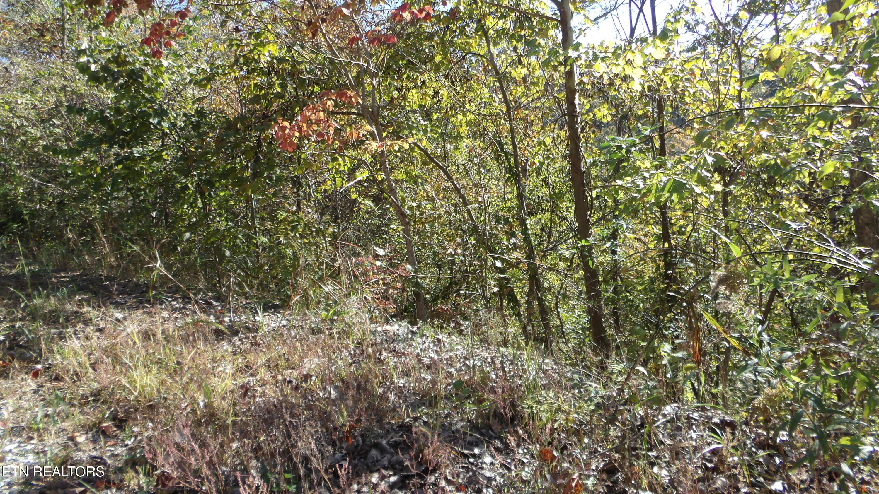 Lot 44d Muskie Lane Property Photo 10