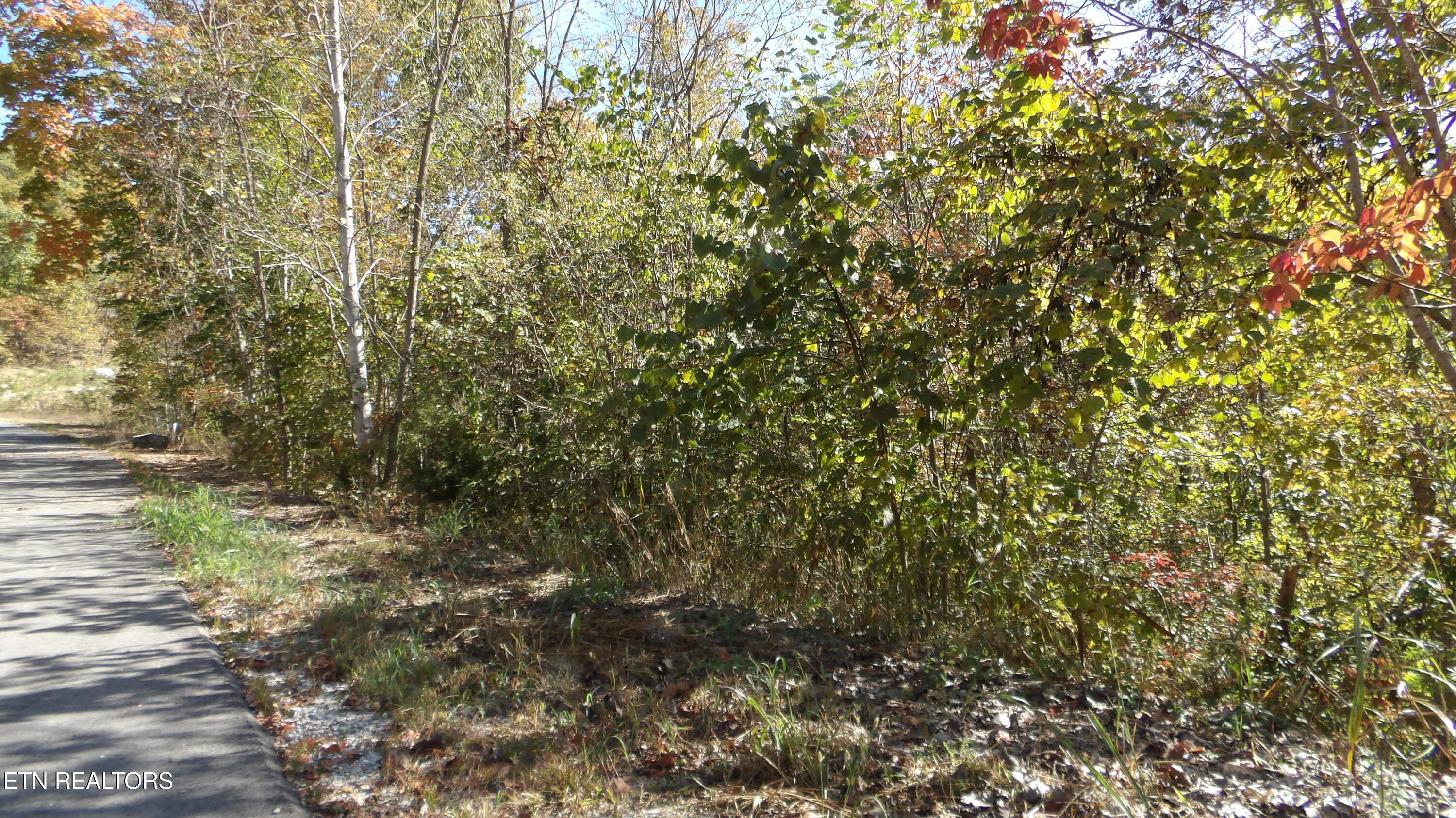 Lot 44d Muskie Lane Property Photo 11