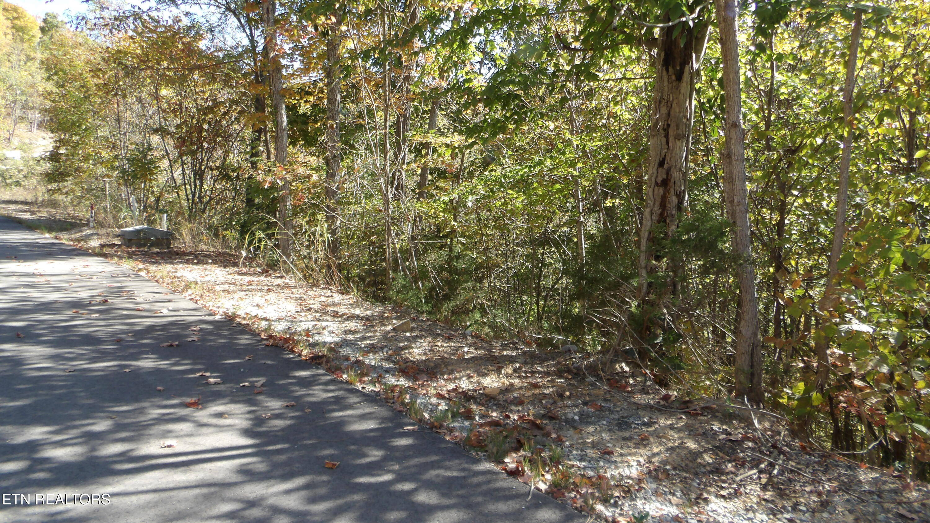 Lot 44d Muskie Lane Property Photo 12