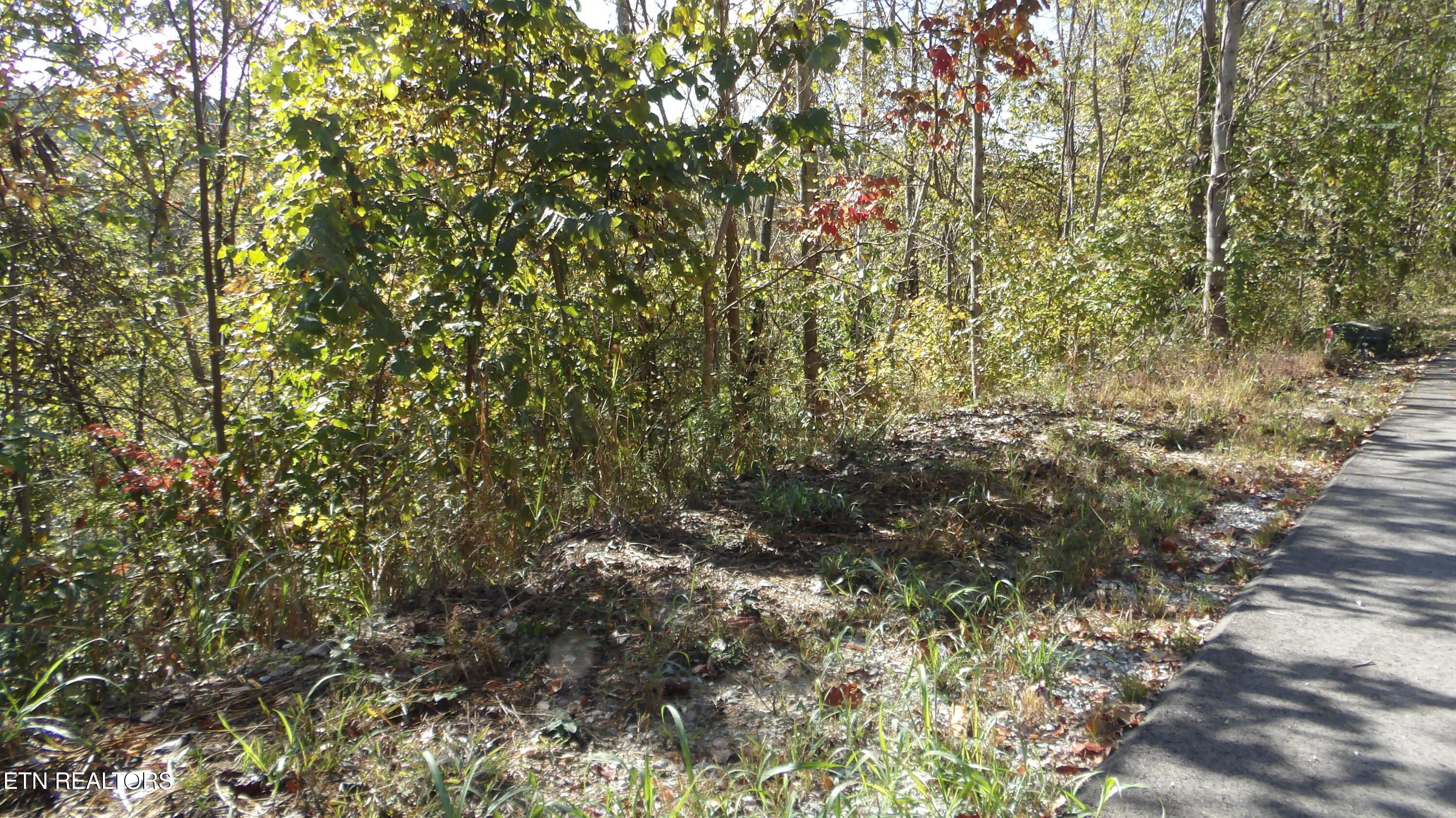 Lot 44d Muskie Lane Property Photo 13