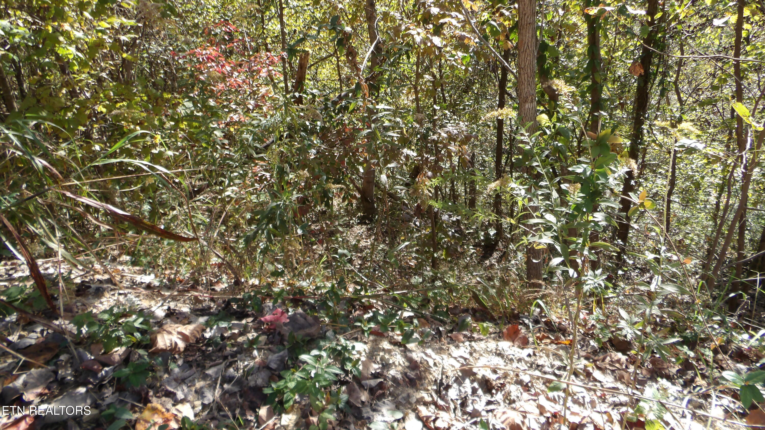 Lot 44d Muskie Lane Property Photo 14