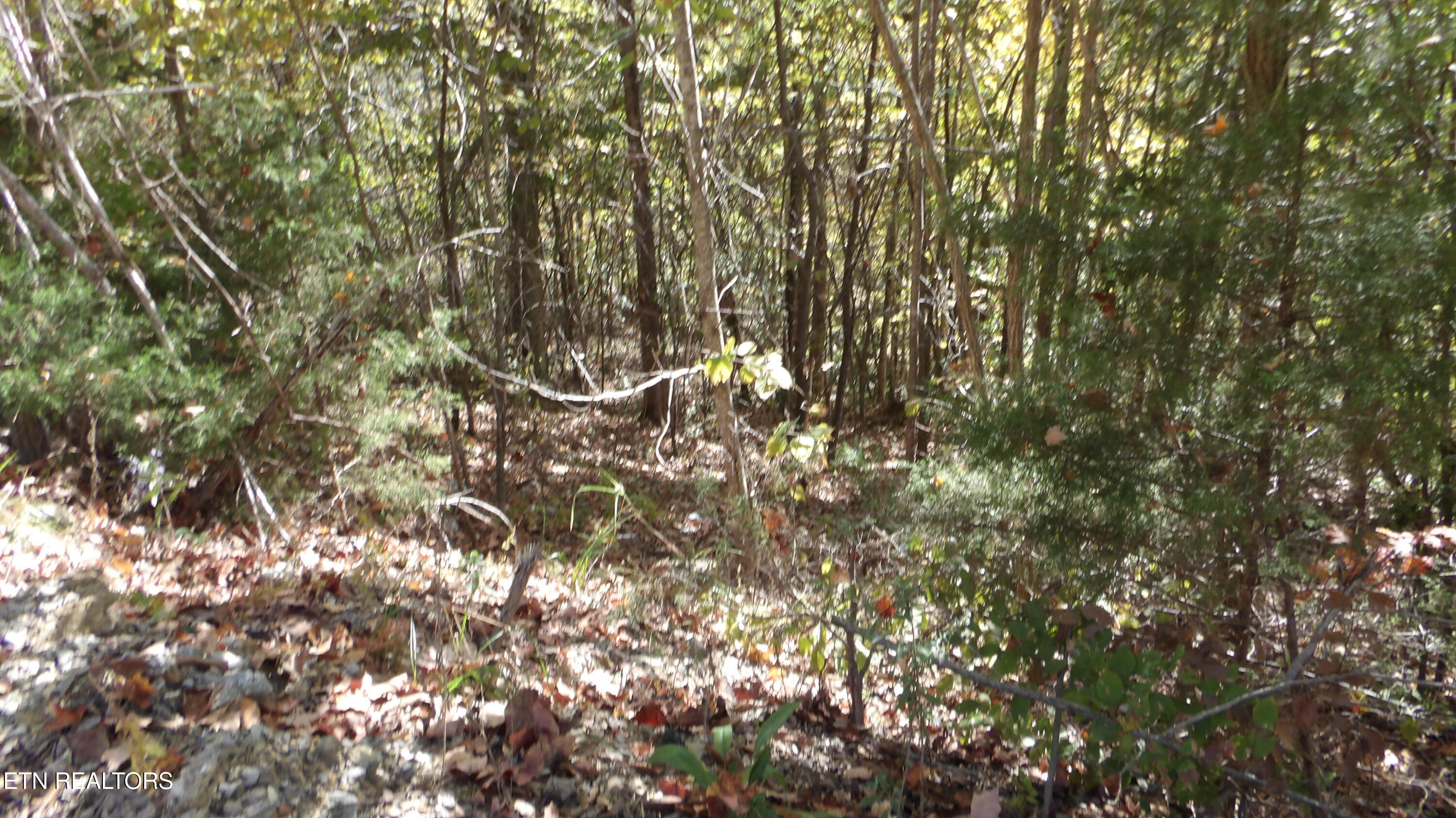 Lot 44d Muskie Lane Property Photo 15