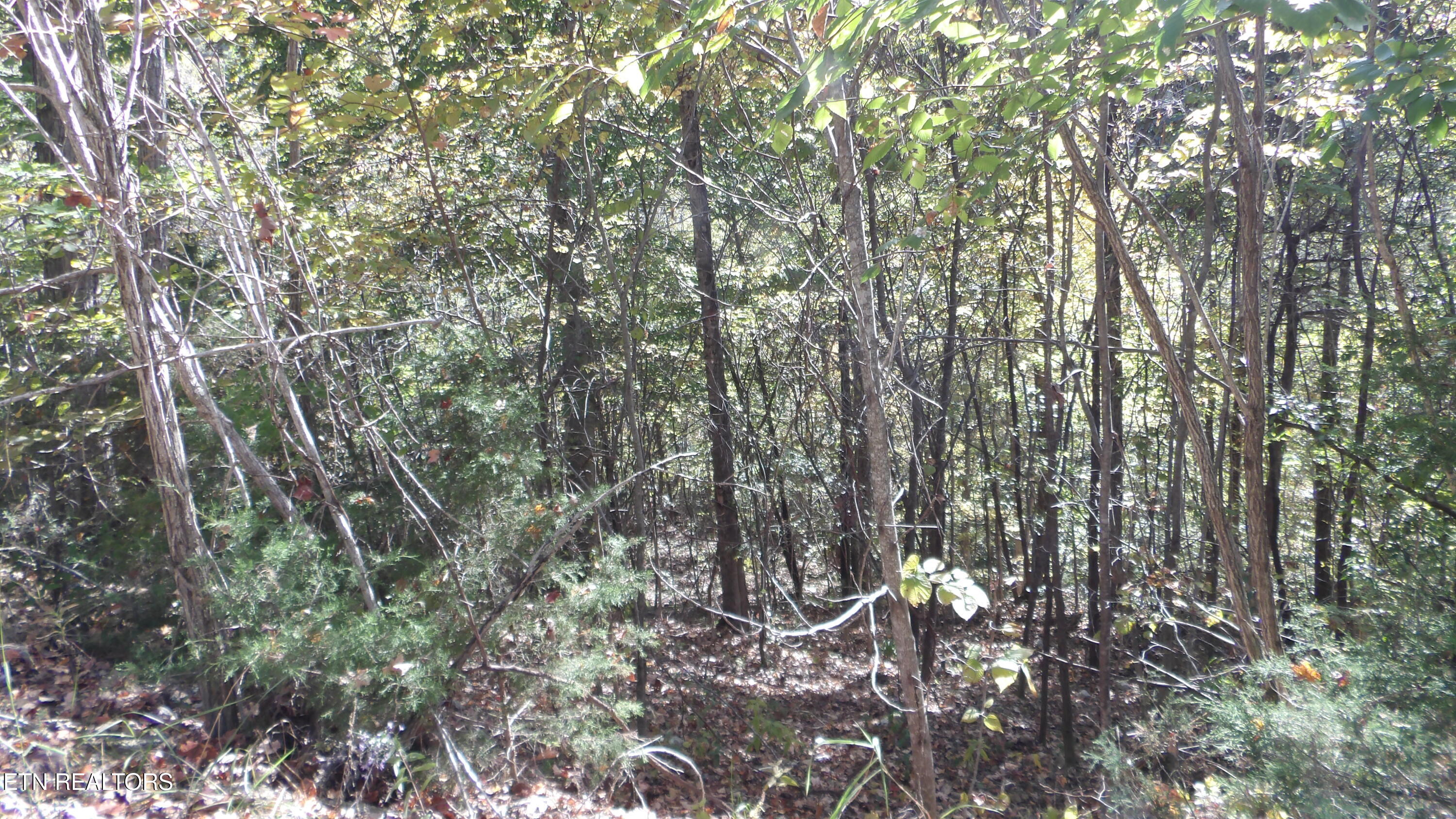 Lot 44d Muskie Lane Property Photo 17