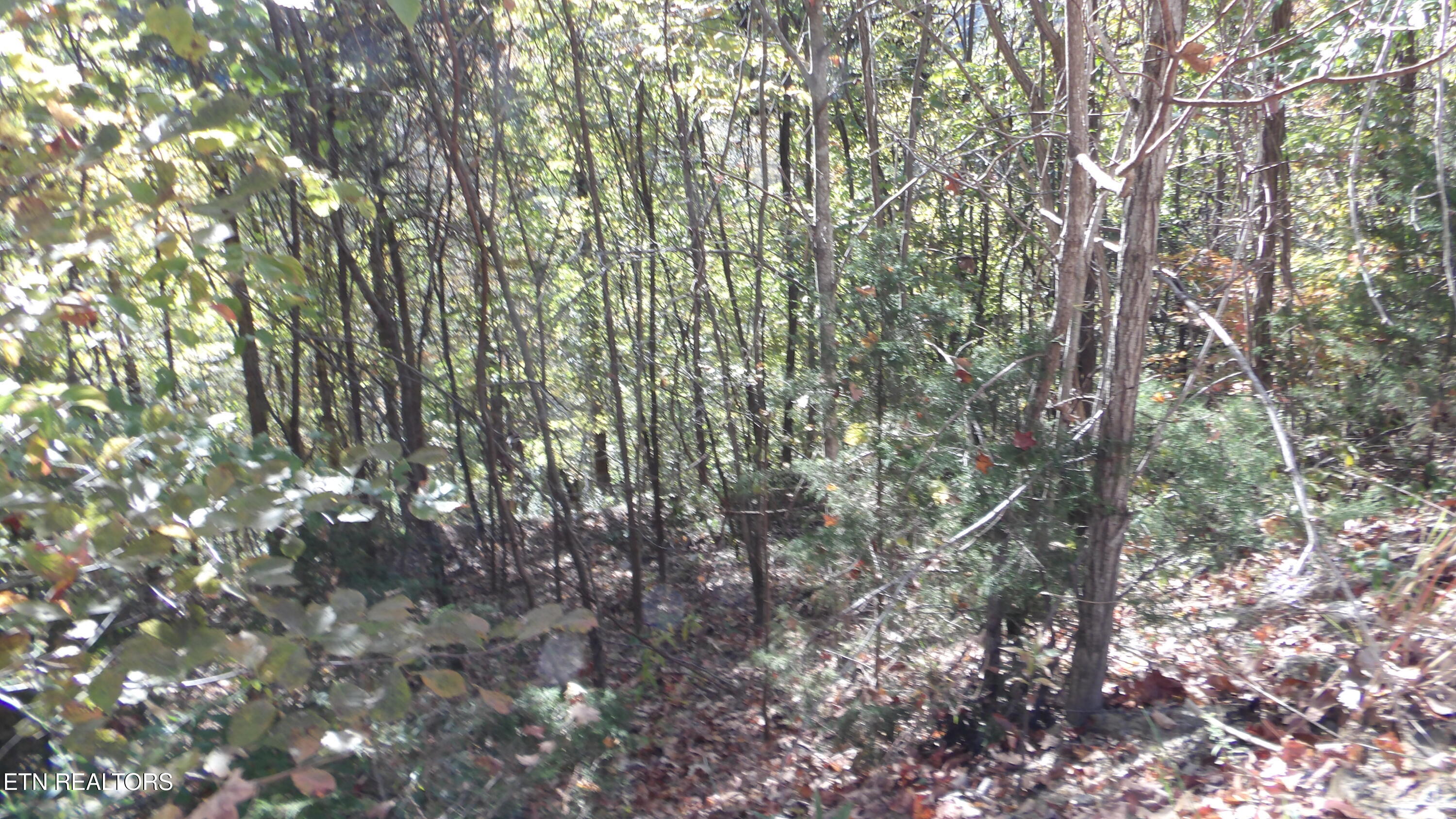 Lot 44d Muskie Lane Property Photo 18