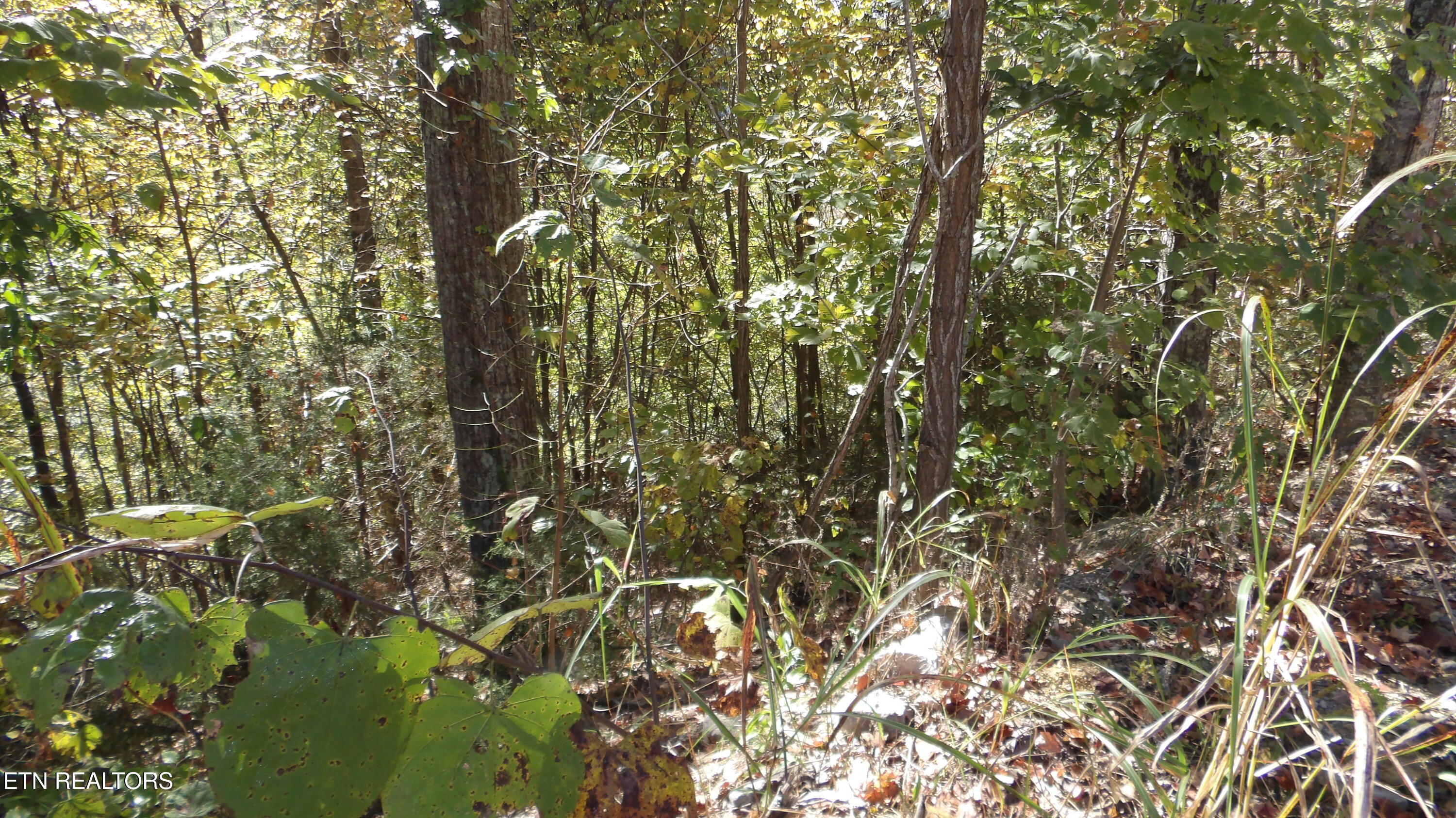 Lot 44d Muskie Lane Property Photo 19