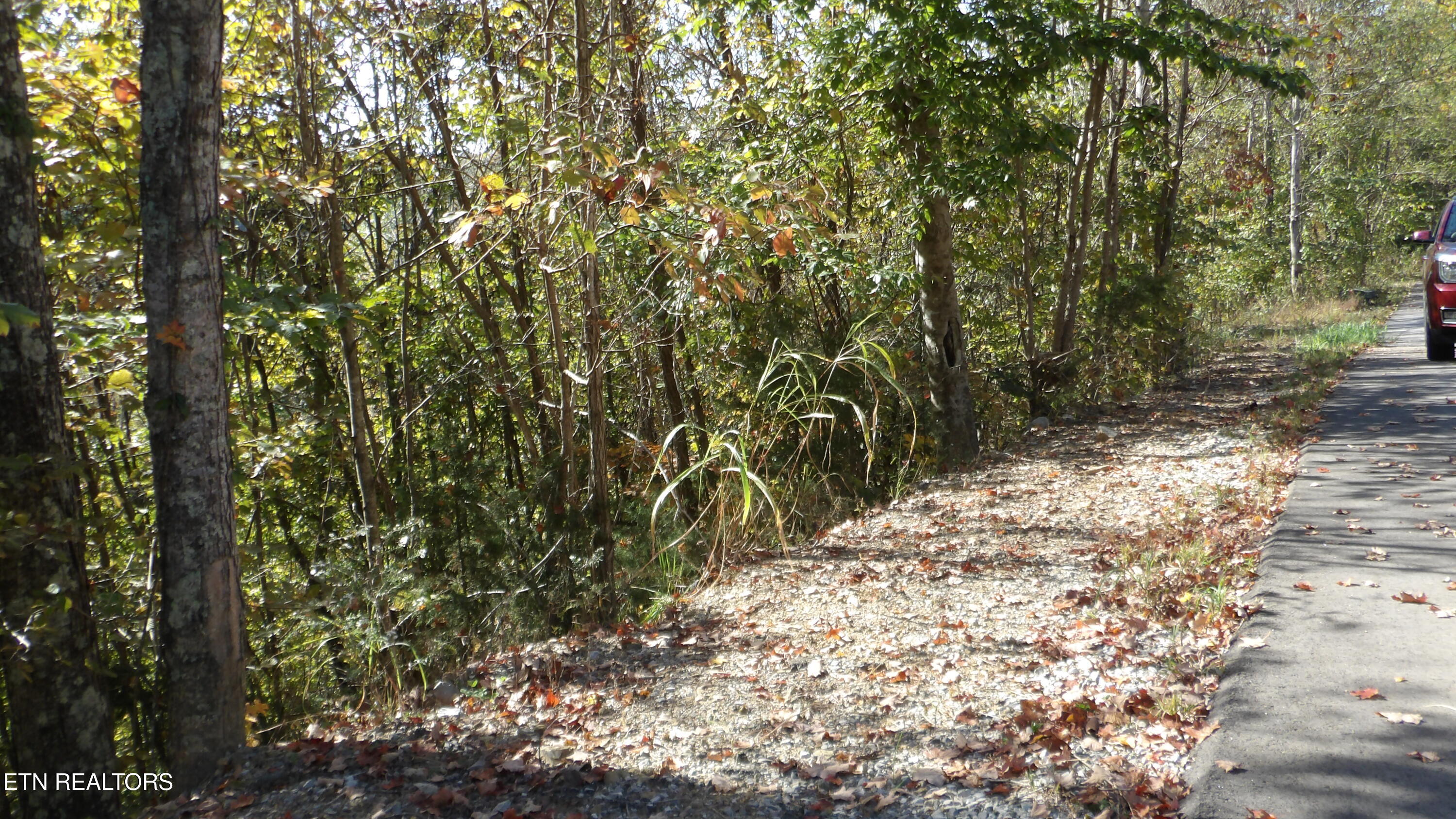 Lot 44d Muskie Lane Property Photo 20