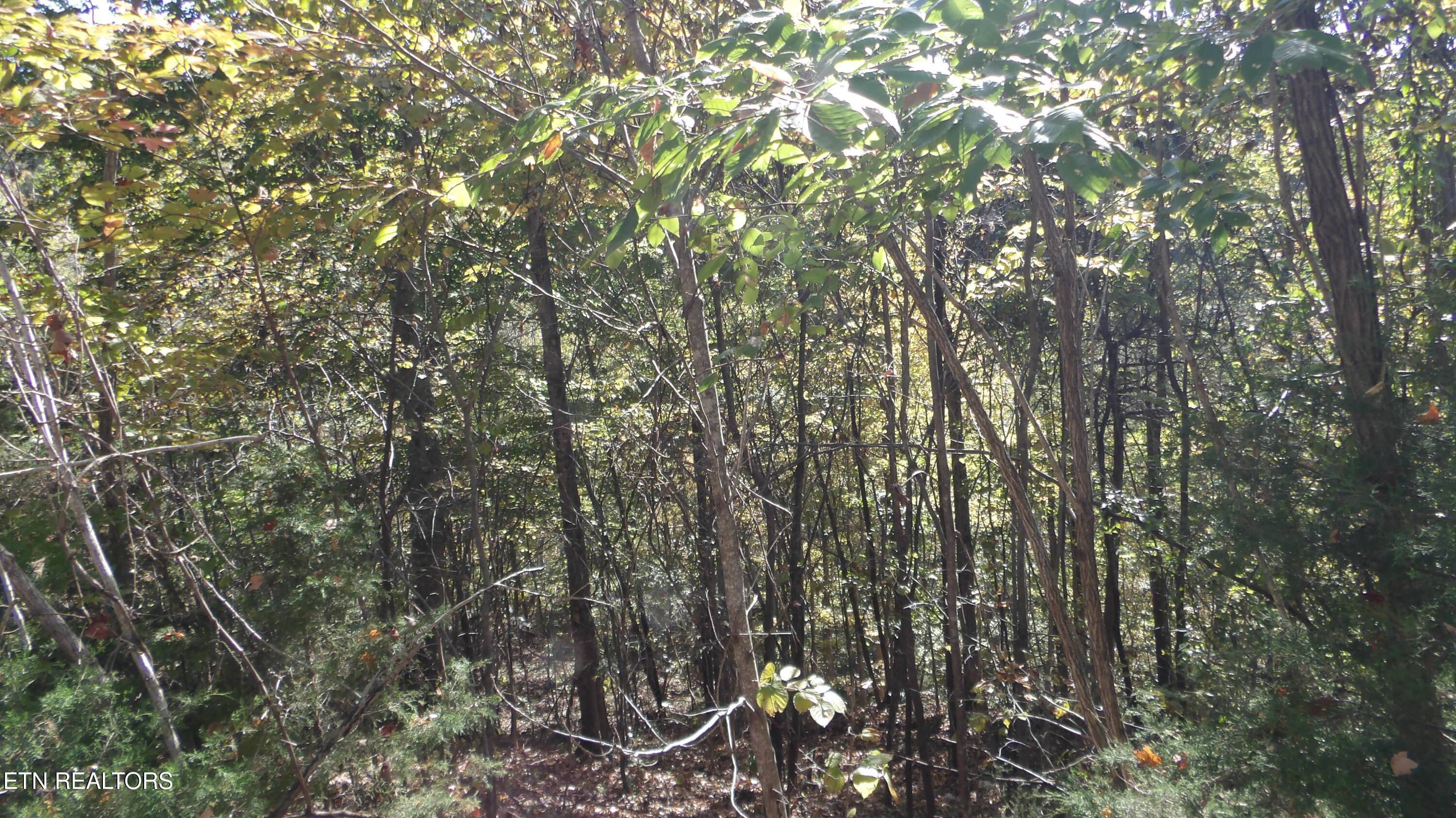 Lot 44d Muskie Lane Property Photo 21