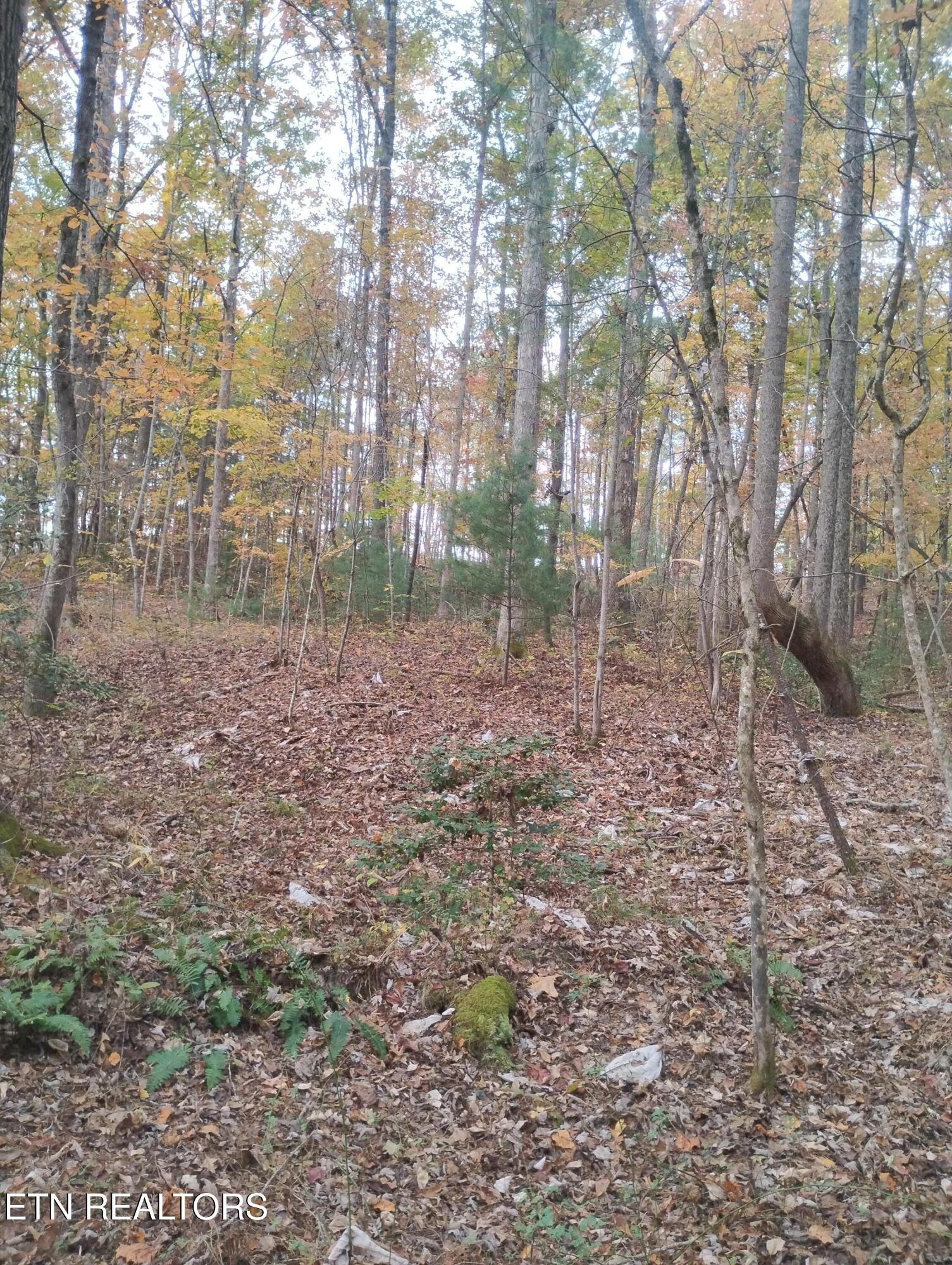 Rocky Top Rd Property Photo 1