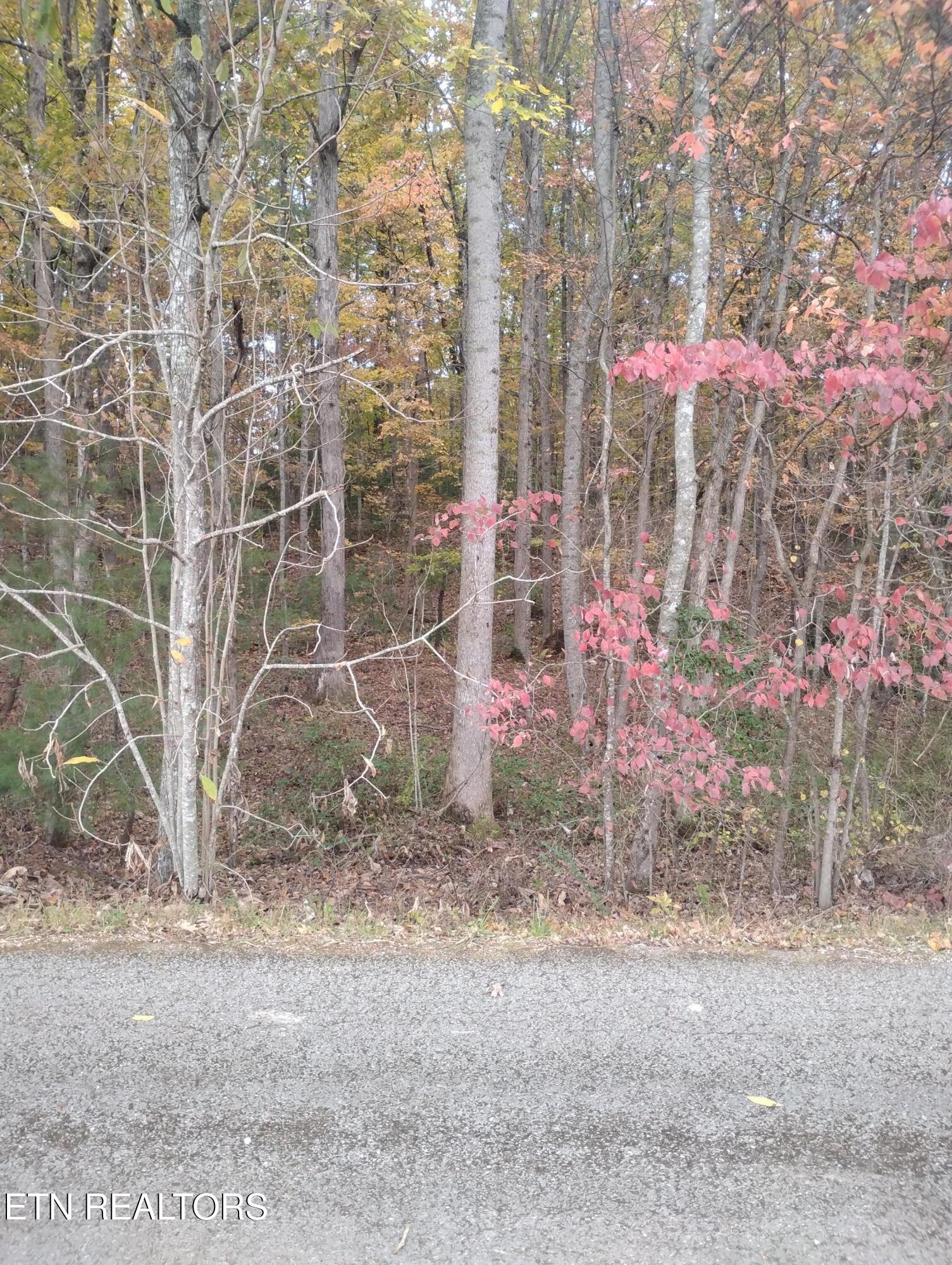 Rocky Top Rd Property Photo 2