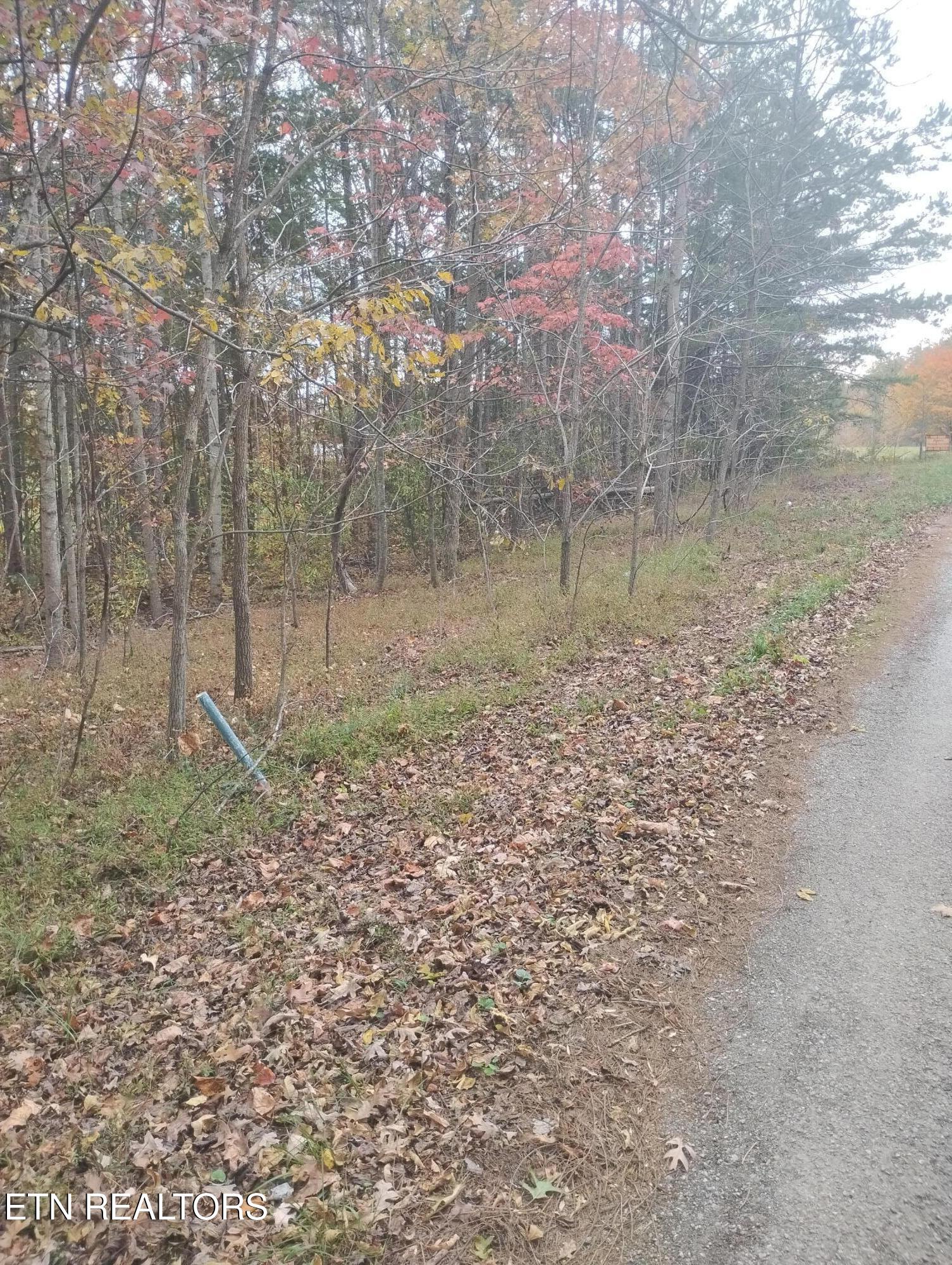 Rocky Top Rd Property Photo 3