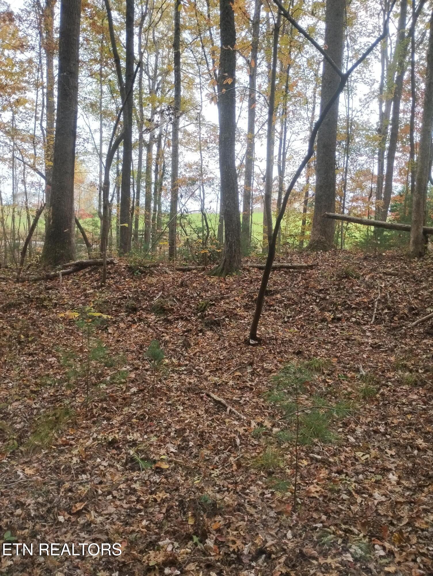 Rocky Top Rd Property Photo 7