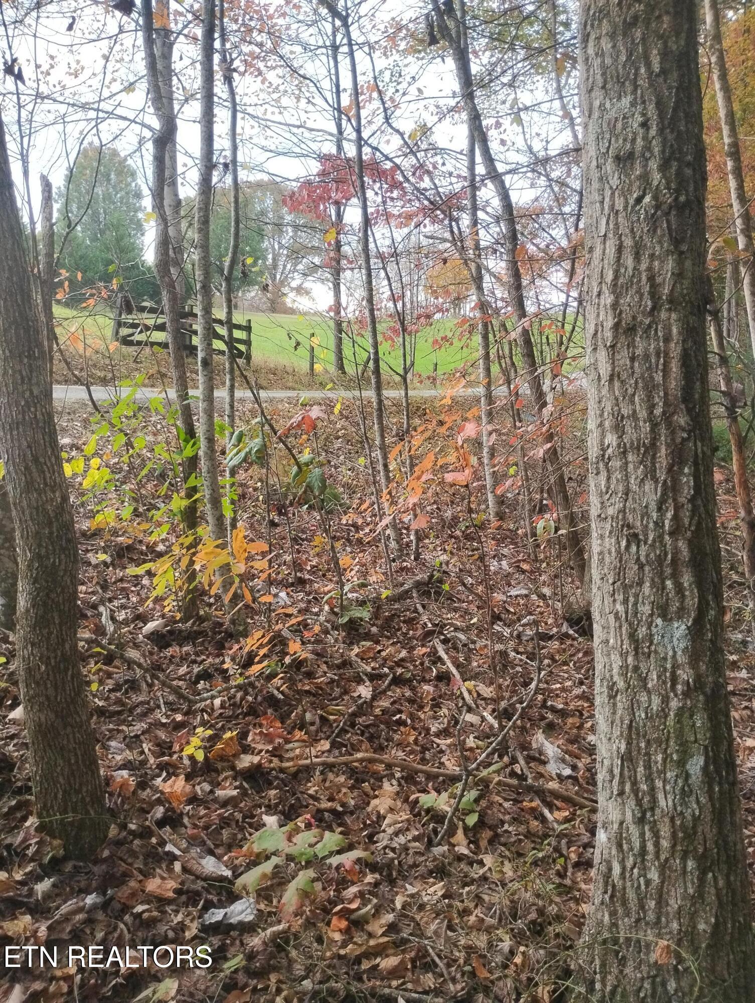 Rocky Top Rd Property Photo 9