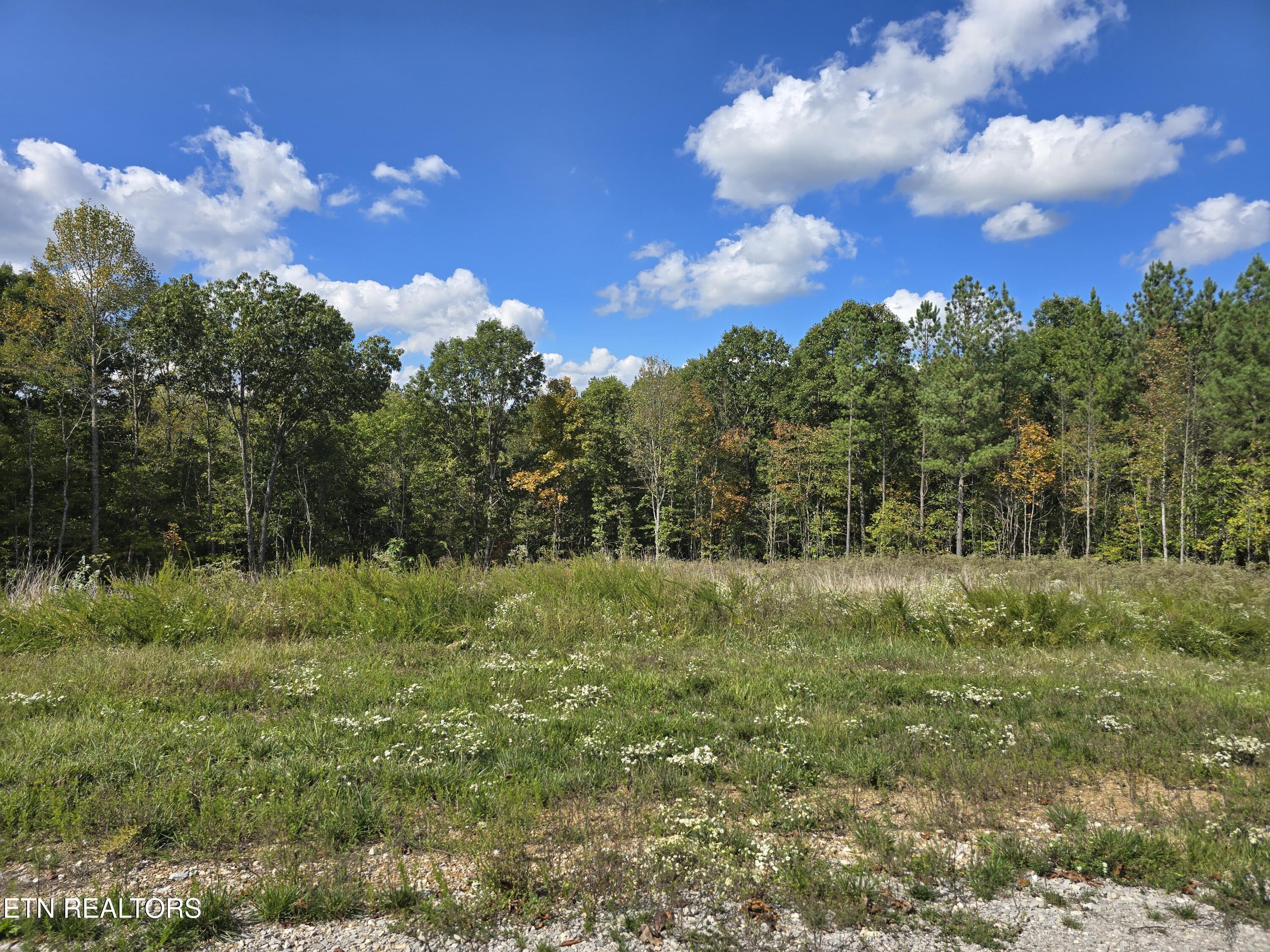 Lot 1 Off Of Old Rugby Rd Property Photo 1