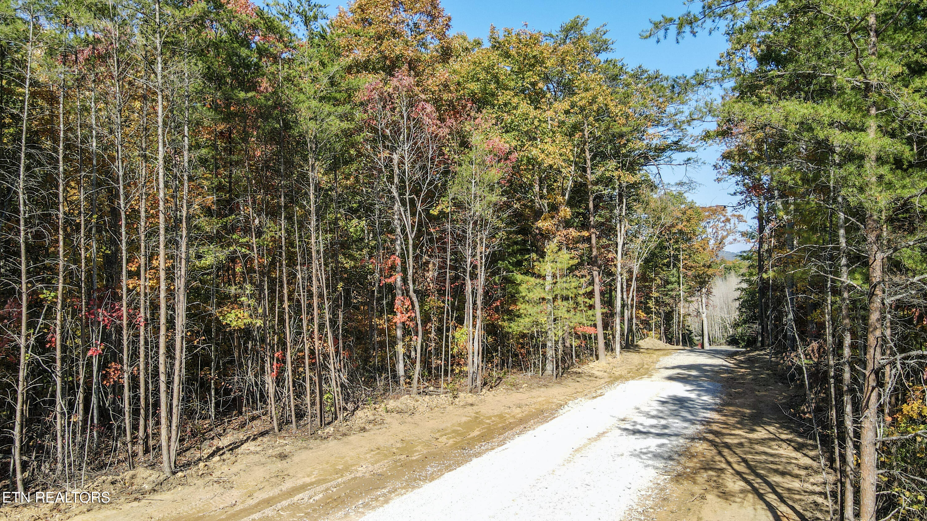 101 Cherokee Path Property Photo 5