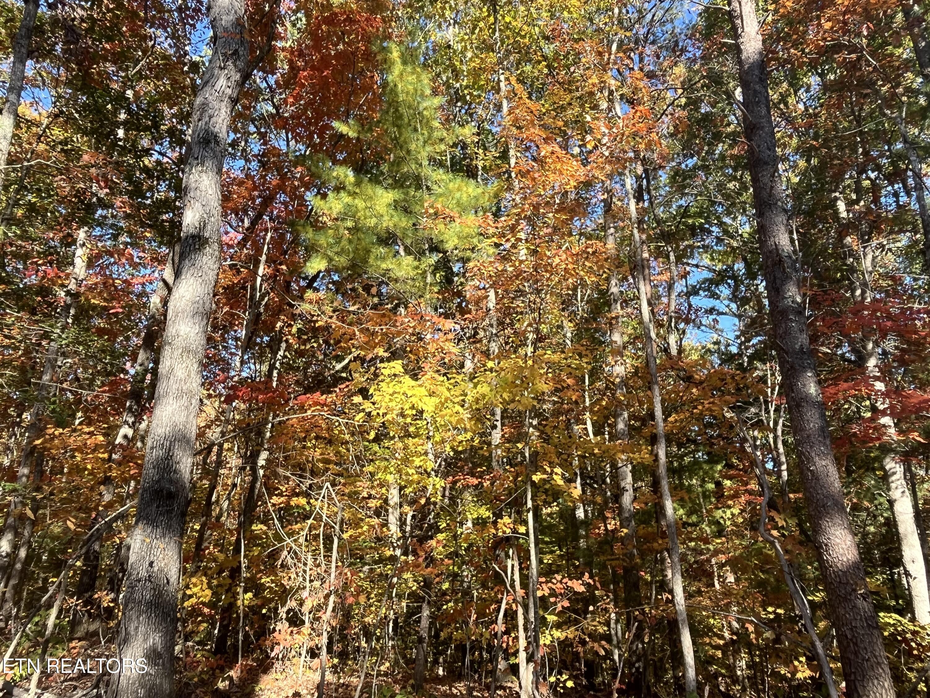 101 Cherokee Path Property Photo 16