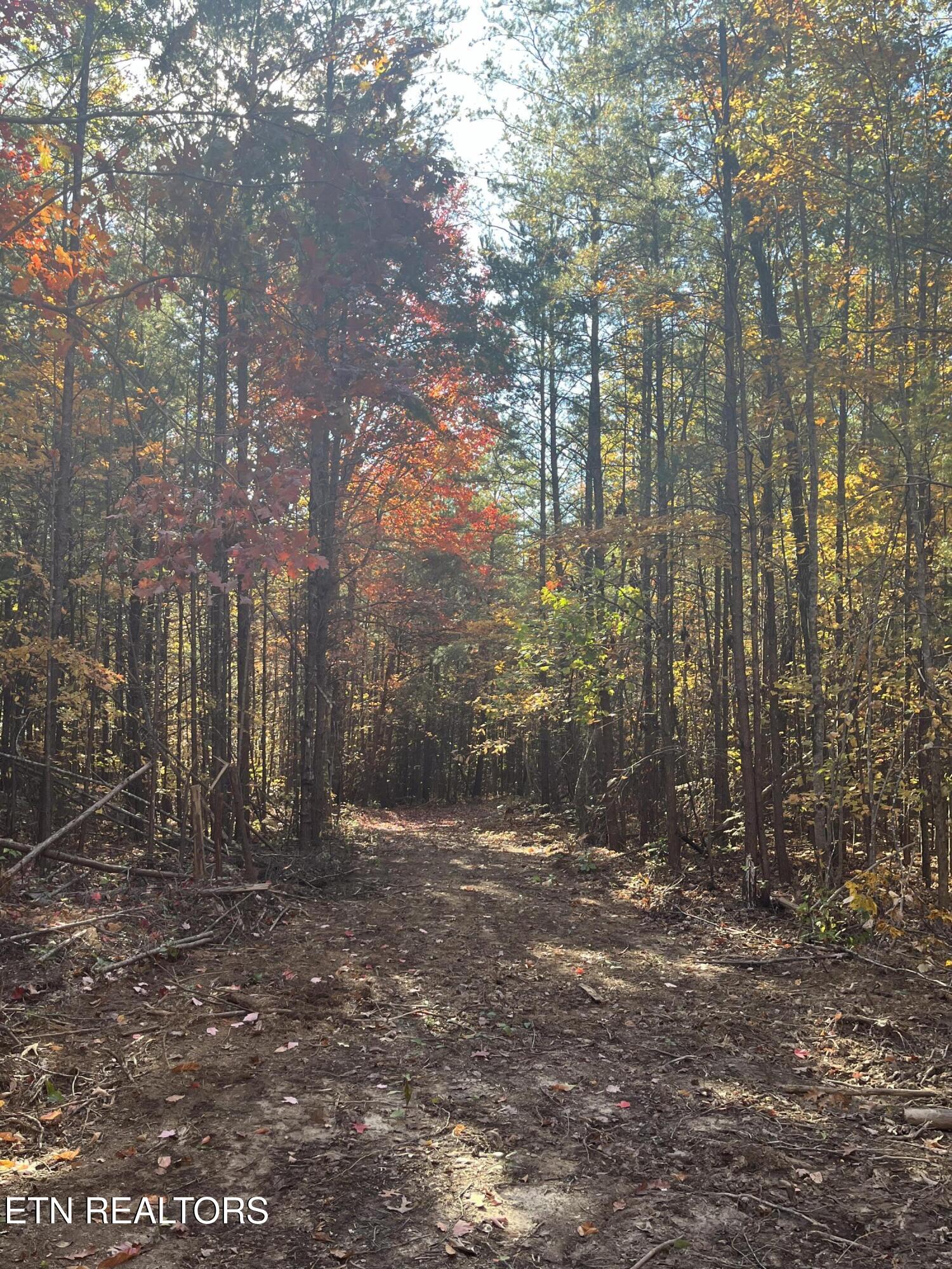 101 Cherokee Path Property Photo 25
