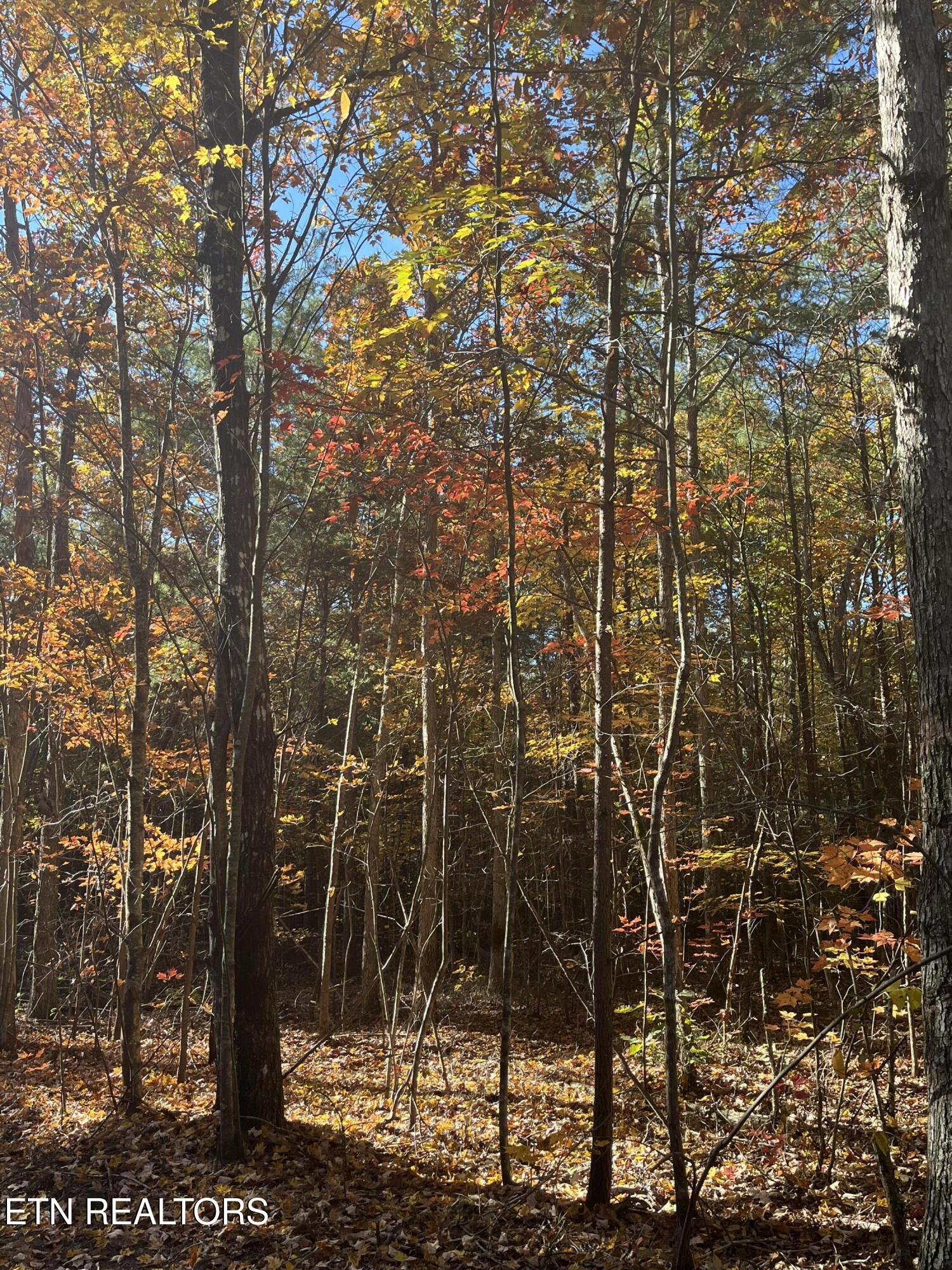 101 Cherokee Path Property Photo 28