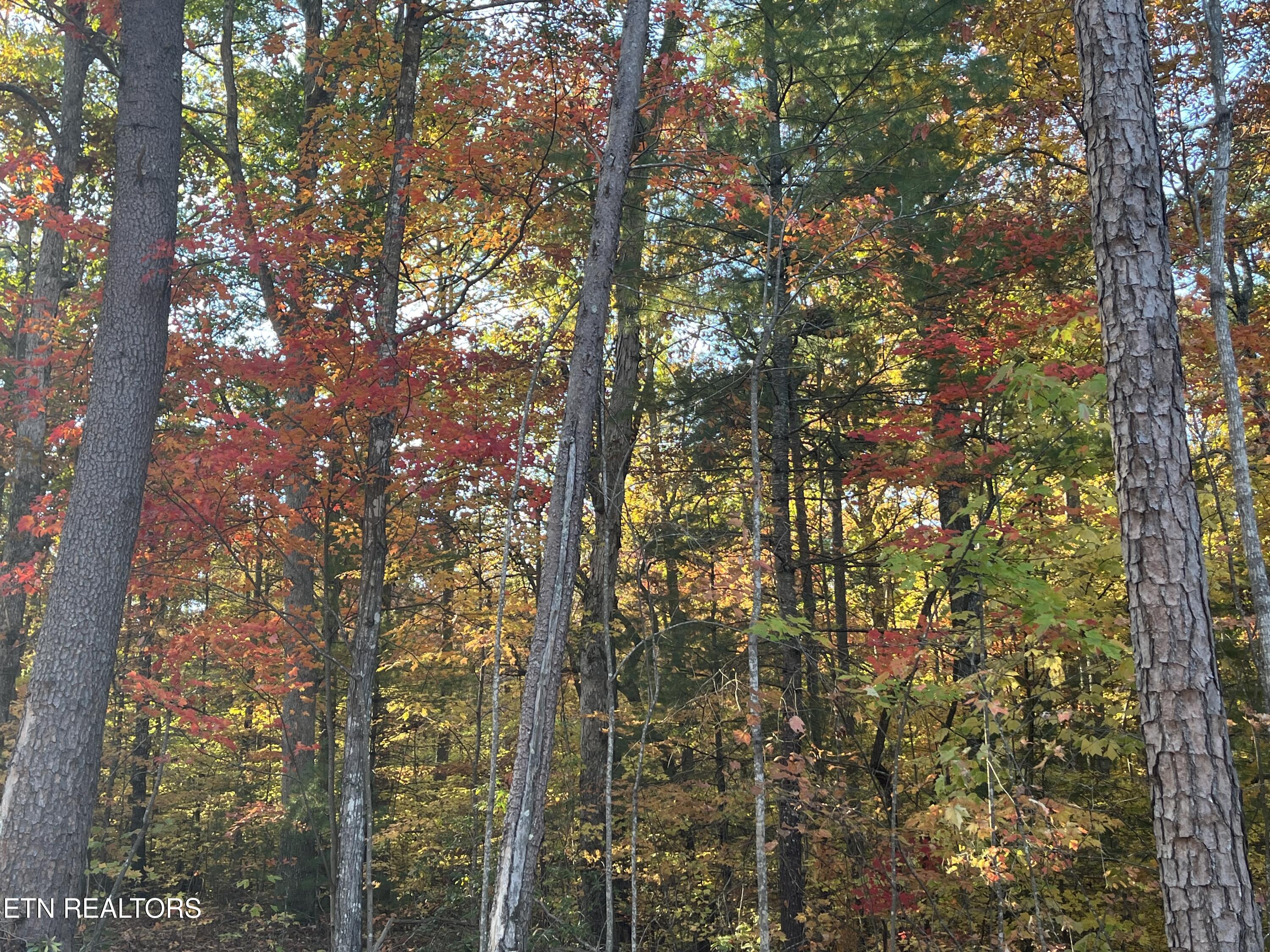 102 Cherokee Path Property Photo 25