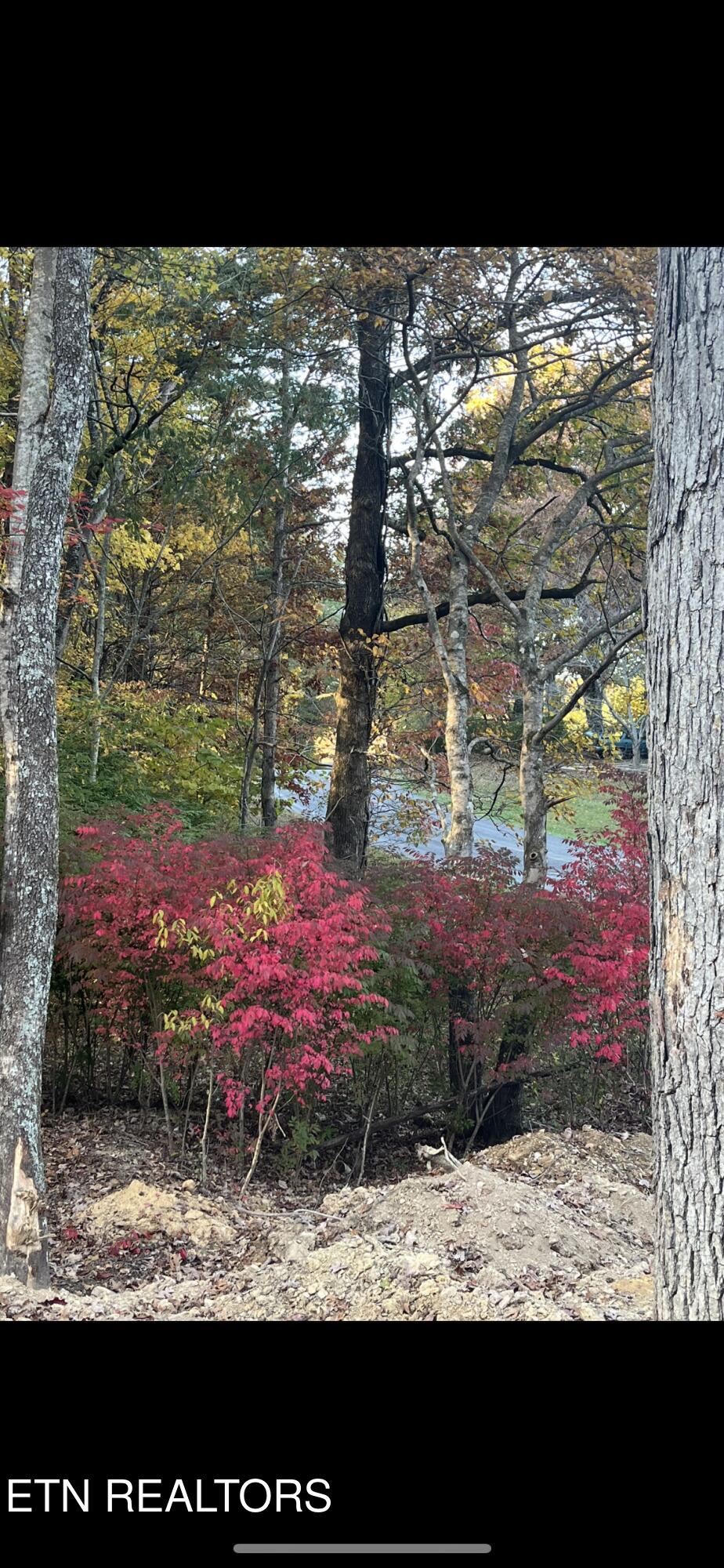 102 Cherokee Path Property Photo 33