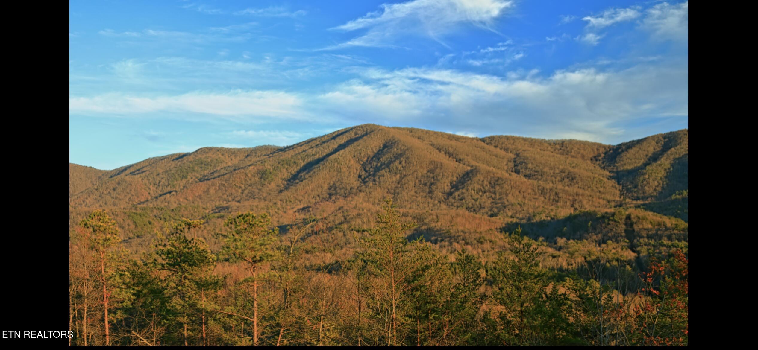 102 Cherokee Path Property Photo 52