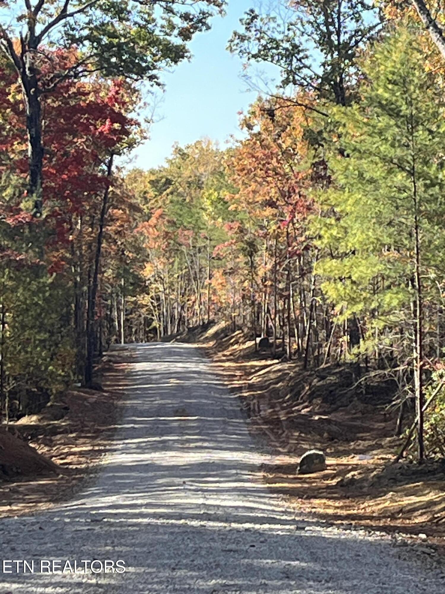 103 Cherokee Path Property Photo 3
